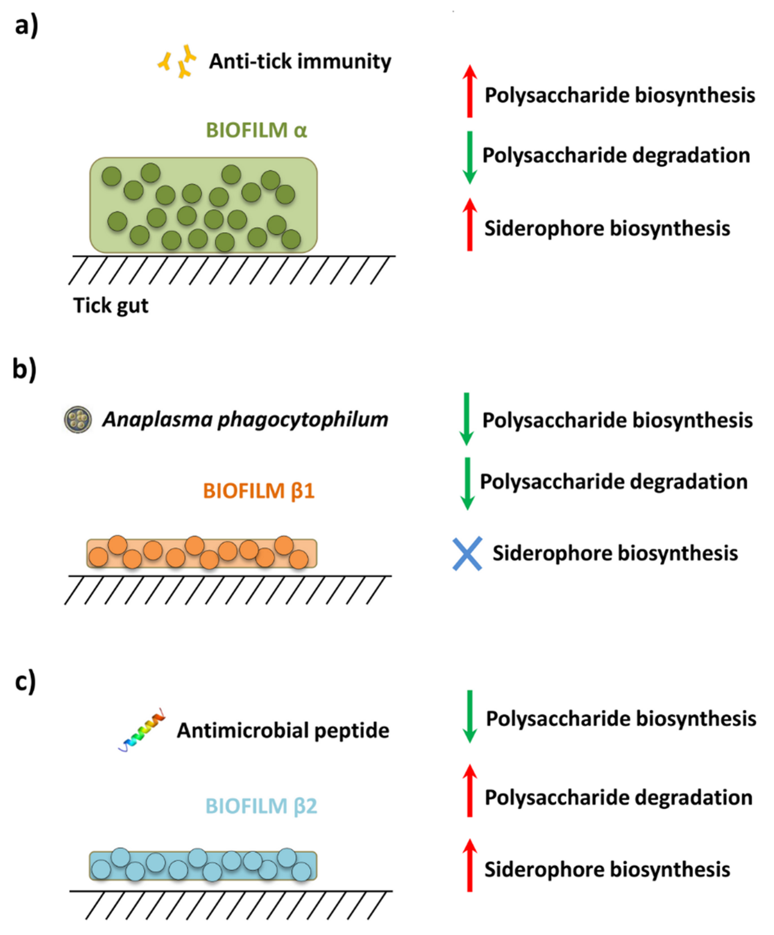 Pathogens 09 00309 g006 Pathogens 09 00309 g006