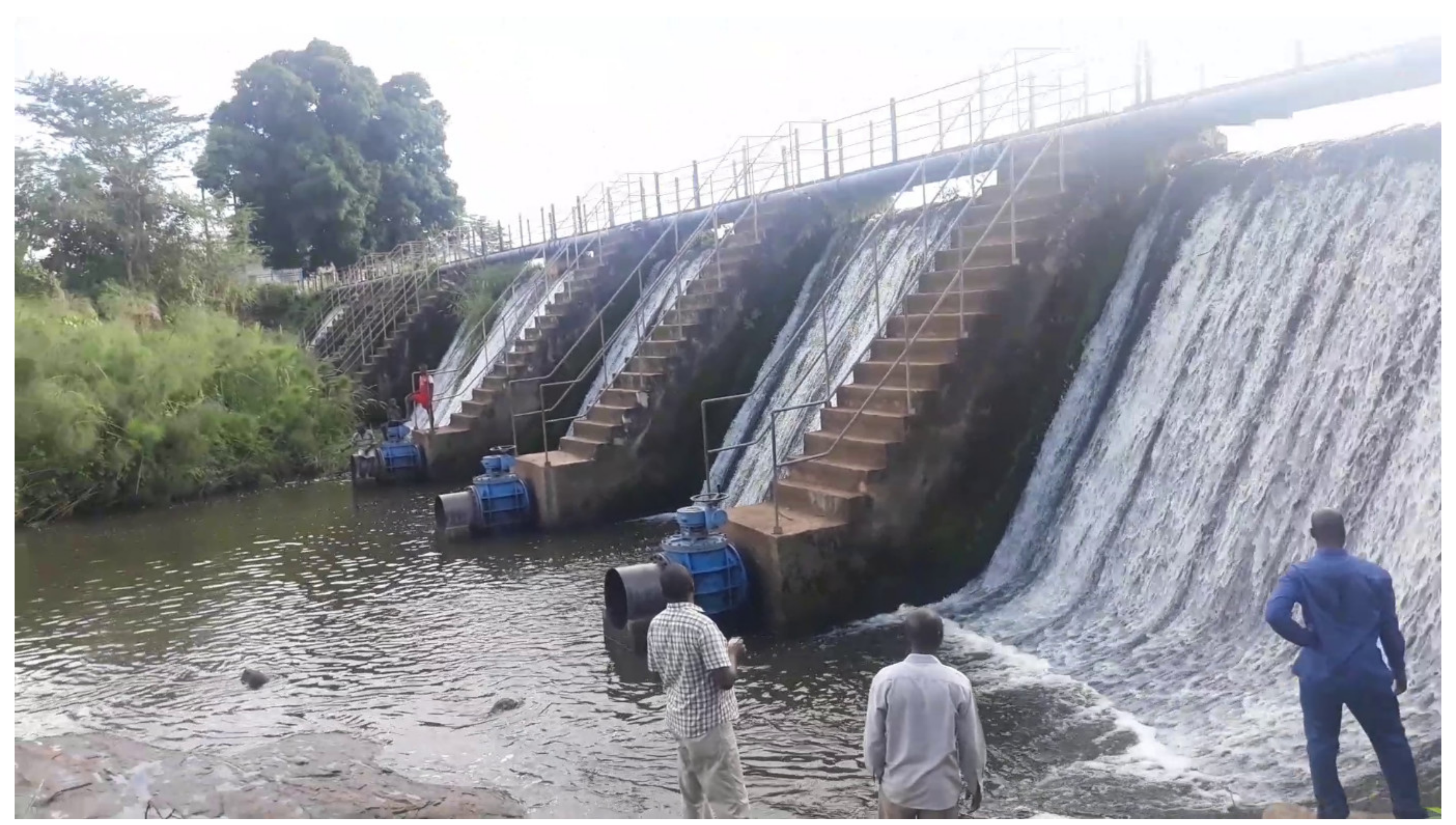 Pathogens 09 00315 g001 Pathogens 09 00315 g001