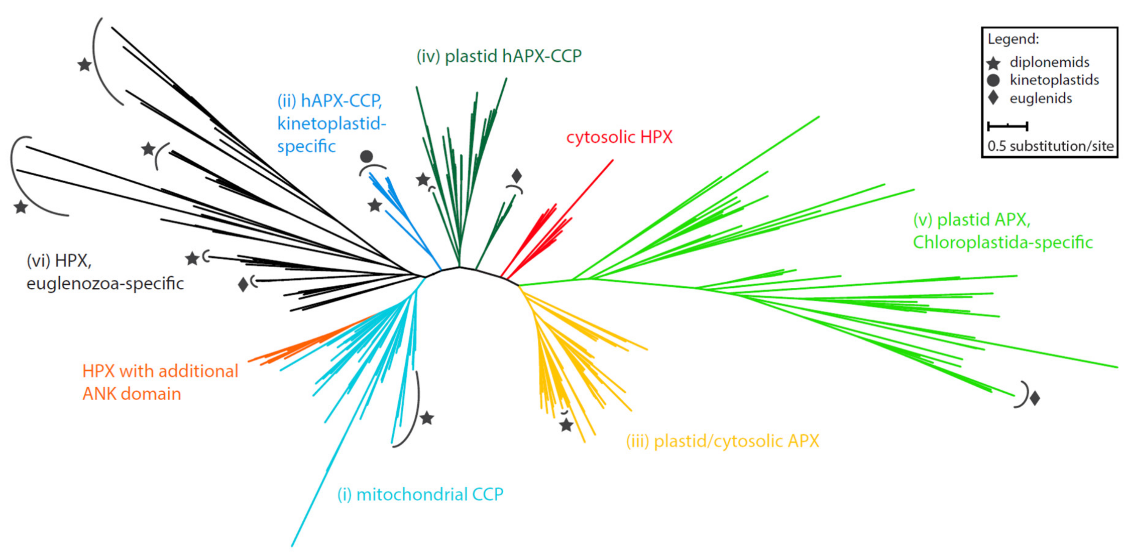 Pathogens 09 00317 g001 Pathogens 09 00317 g001