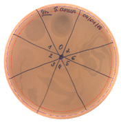 Pathogens 09 00319 i001 Pathogens 09 00319 i001