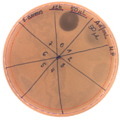 Pathogens 09 00319 i002 Pathogens 09 00319 i002