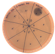 Pathogens 09 00319 i003 Pathogens 09 00319 i003