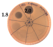 Pathogens 09 00319 i006 Pathogens 09 00319 i006
