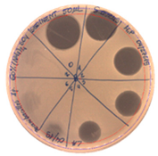 Pathogens 09 00319 i016 Pathogens 09 00319 i016