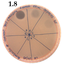 Pathogens 09 00319 i019 Pathogens 09 00319 i019