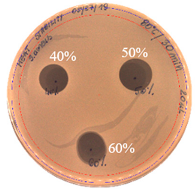 Pathogens 09 00319 i029 Pathogens 09 00319 i029