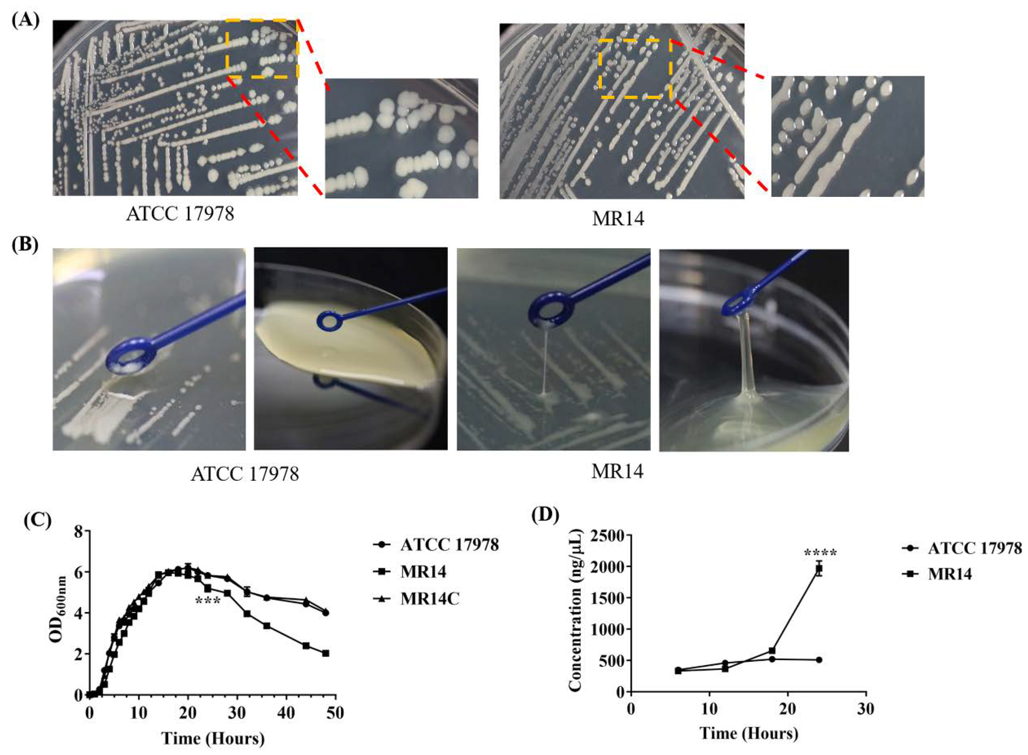 Pathogens 09 00322 g004 Pathogens 09 00322 g004