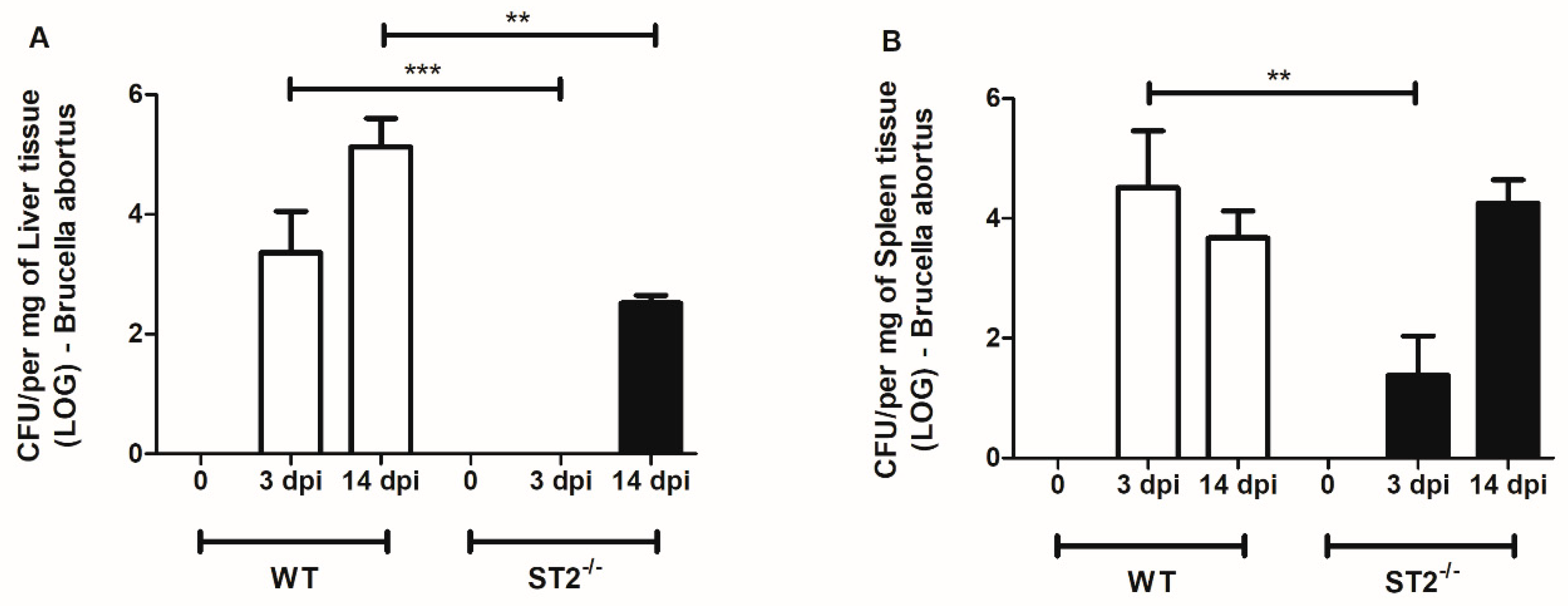 Cell and Tissue Tropism of Brucella spp.