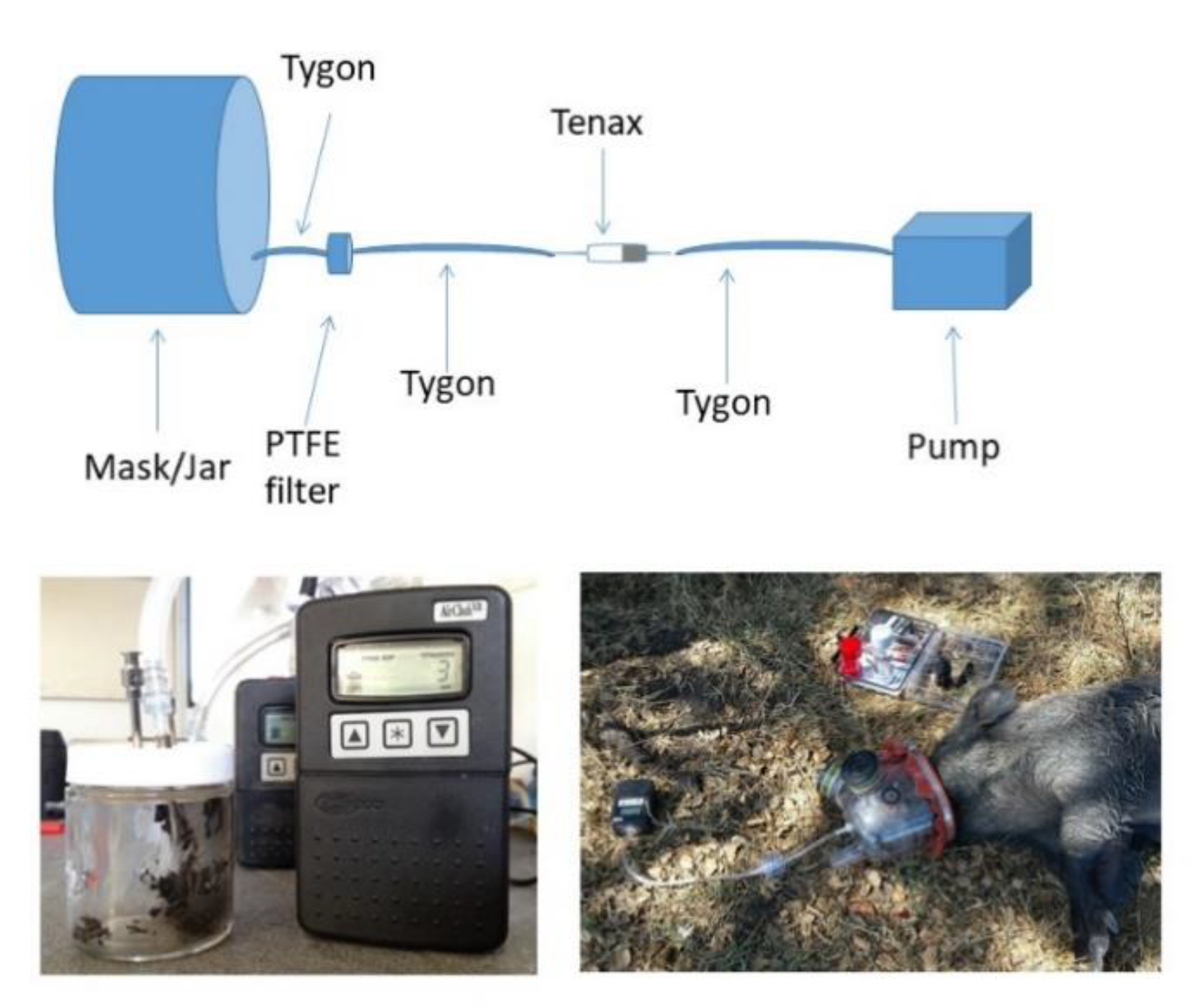 Pathogens 09 00346 g004