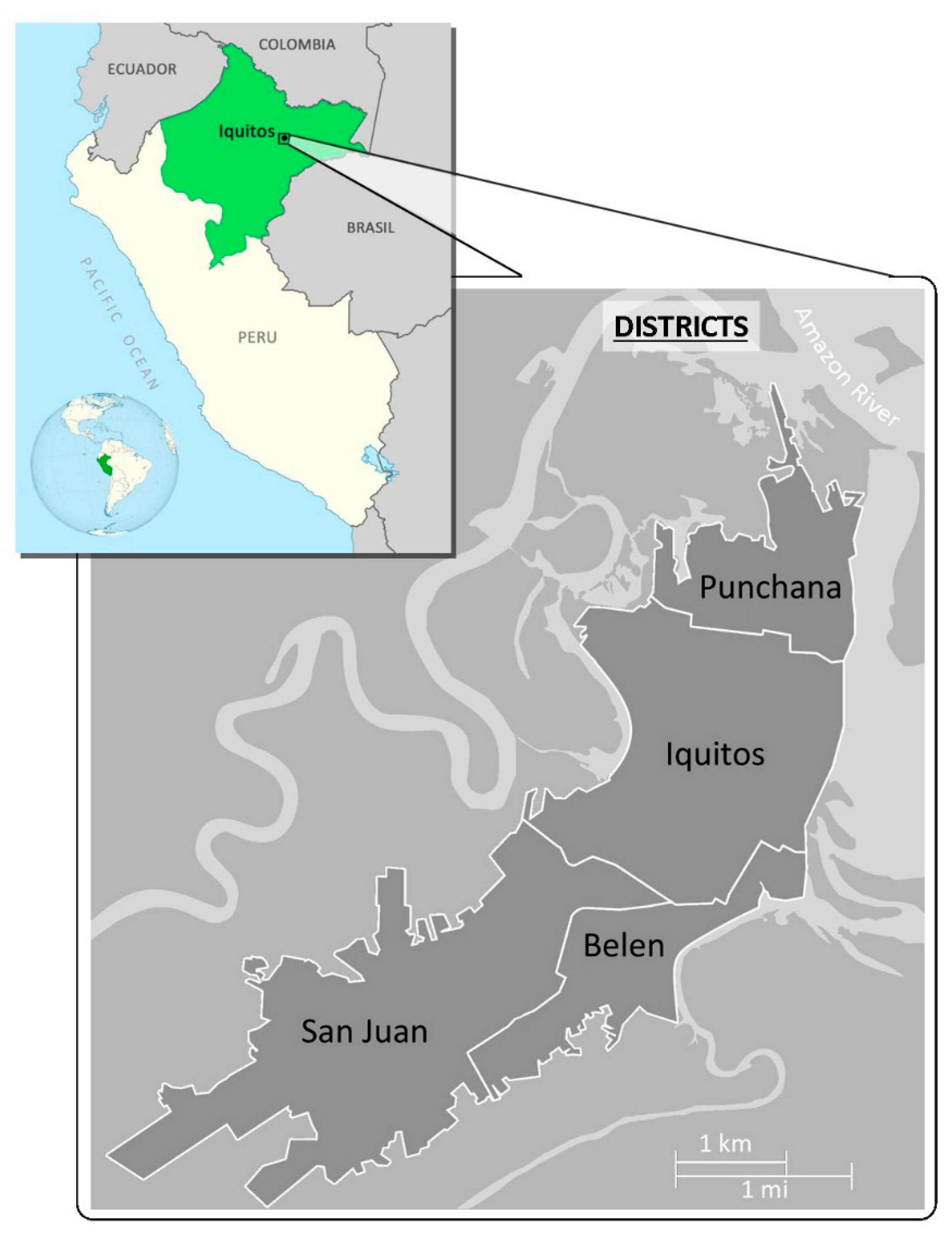 Pathogens 09 00348 g001