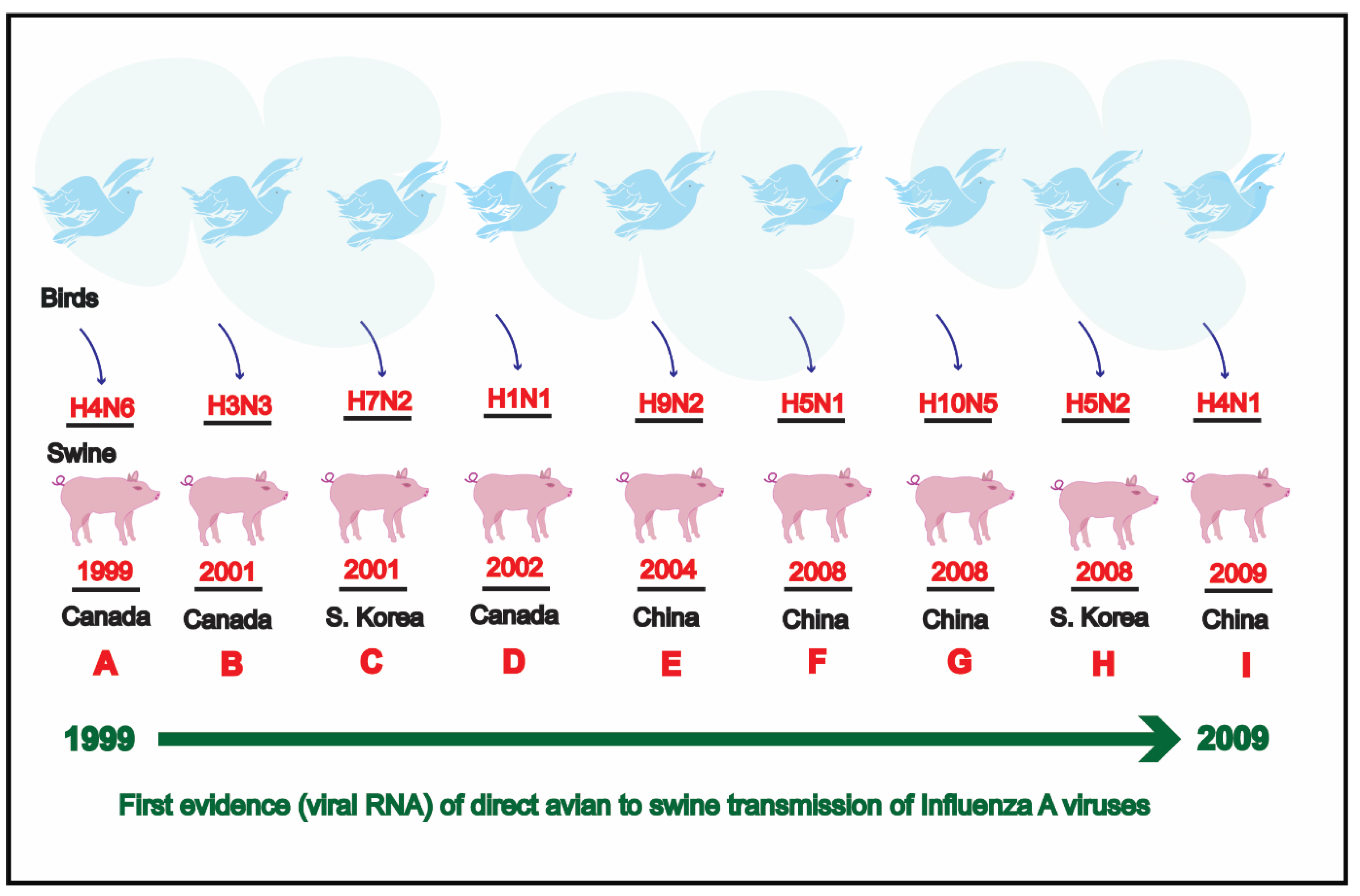 Pathogens 09 00355 g006
