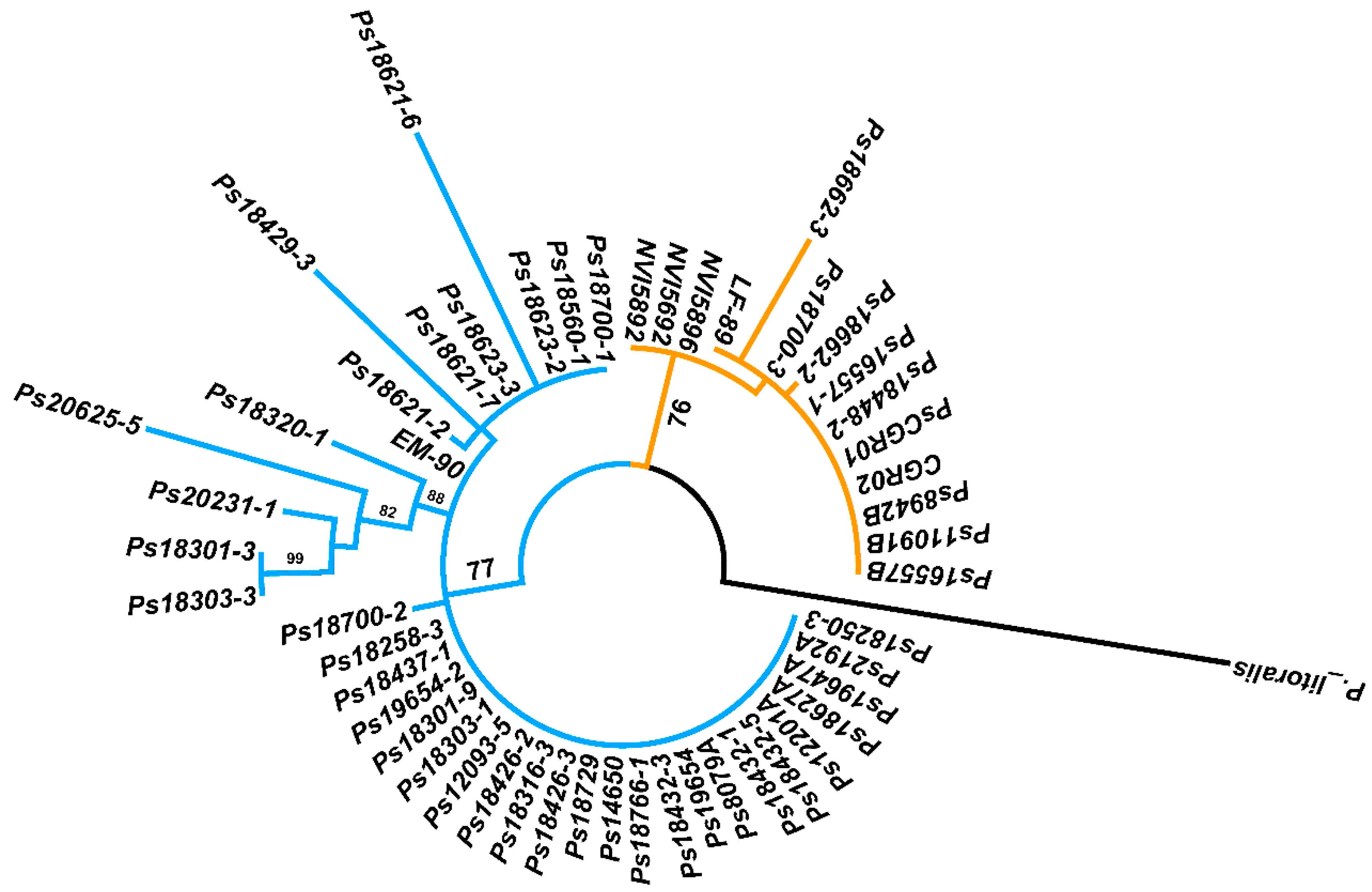 Pathogens 09 00358 g005 Pathogens 09 00358 g005