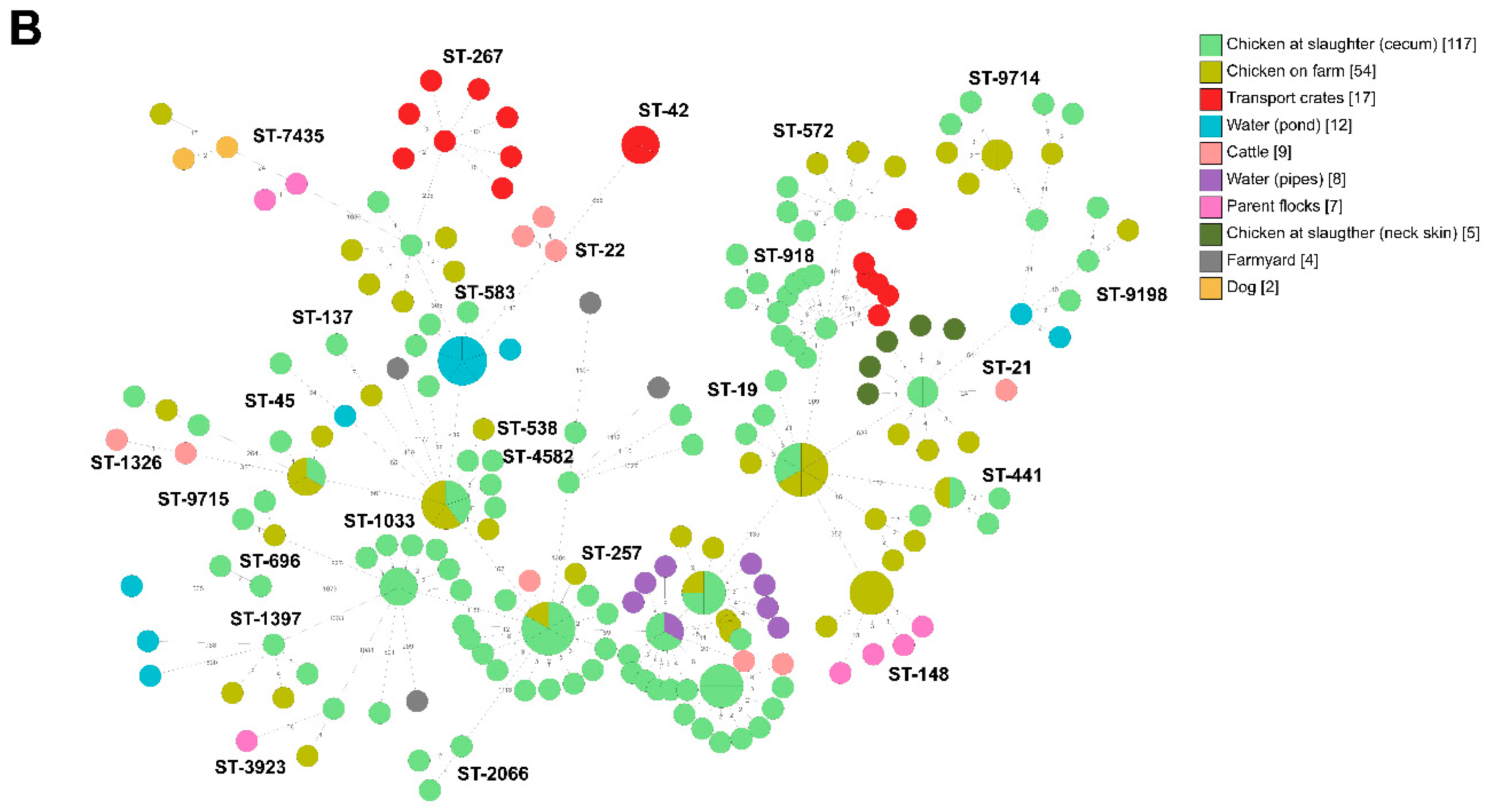 Pathogens 09 00363 g001b Pathogens 09 00363 g001b