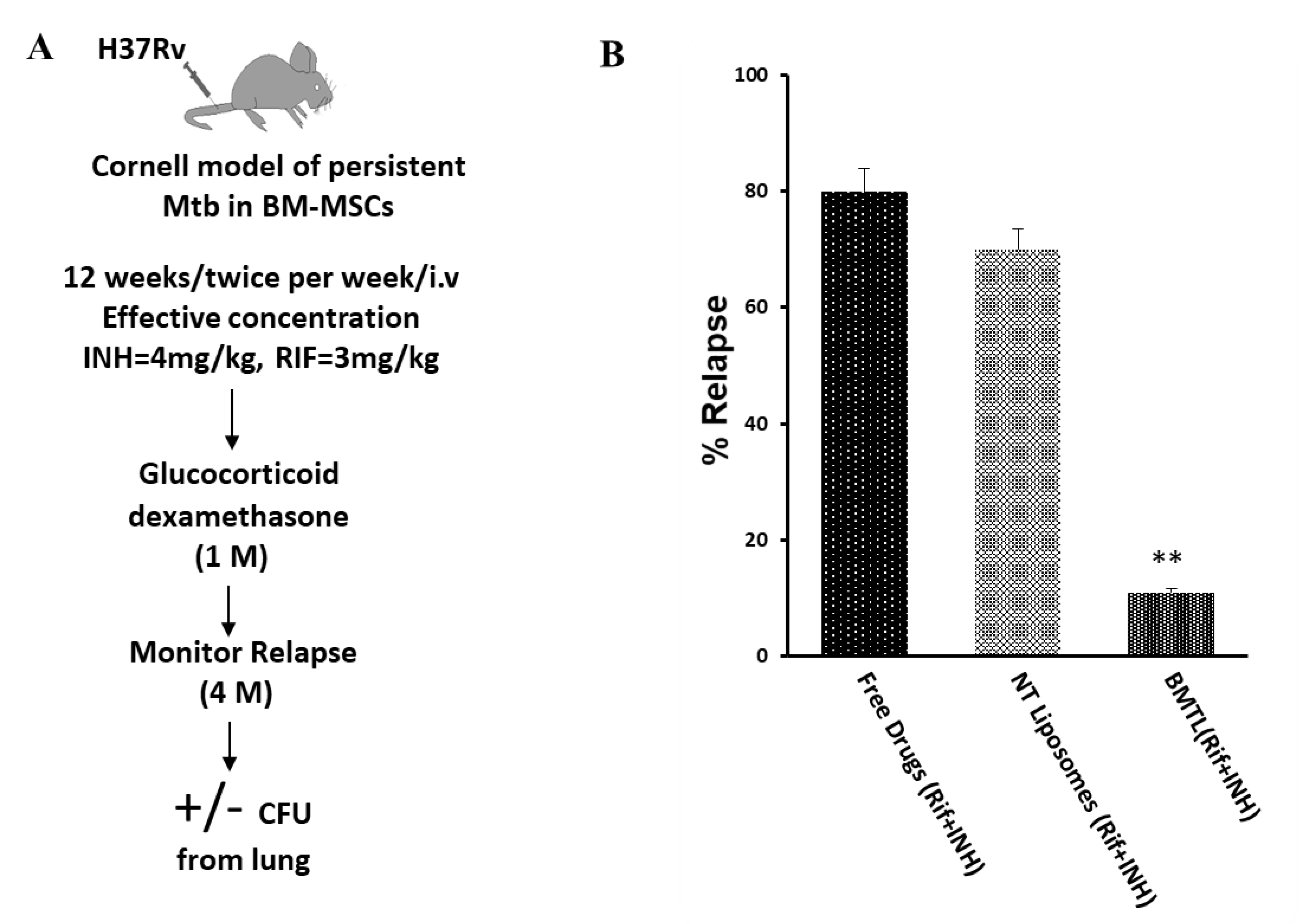 Pathogens 09 00372 g007 Pathogens 09 00372 g007