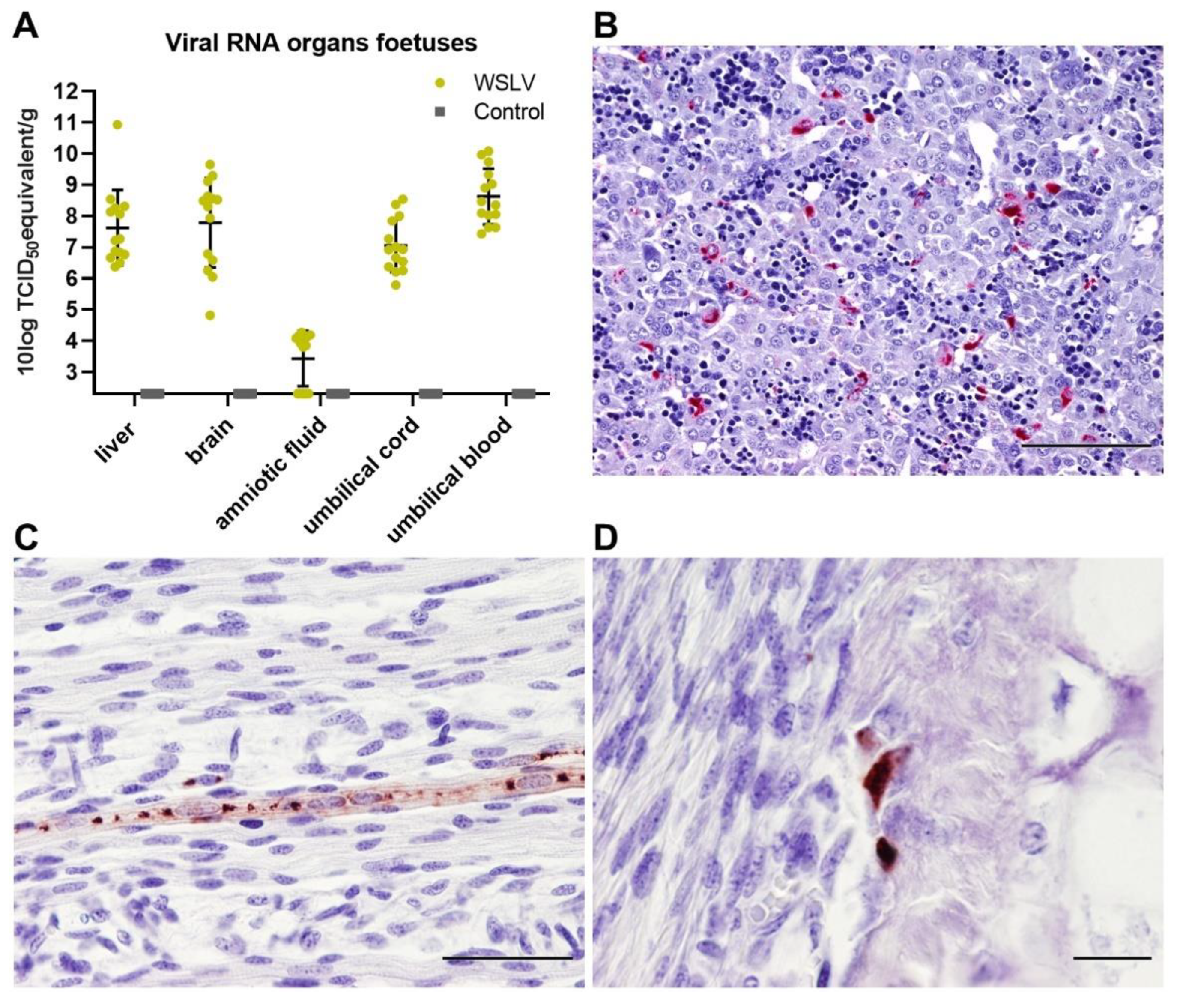 Pathogens 09 00373 g003