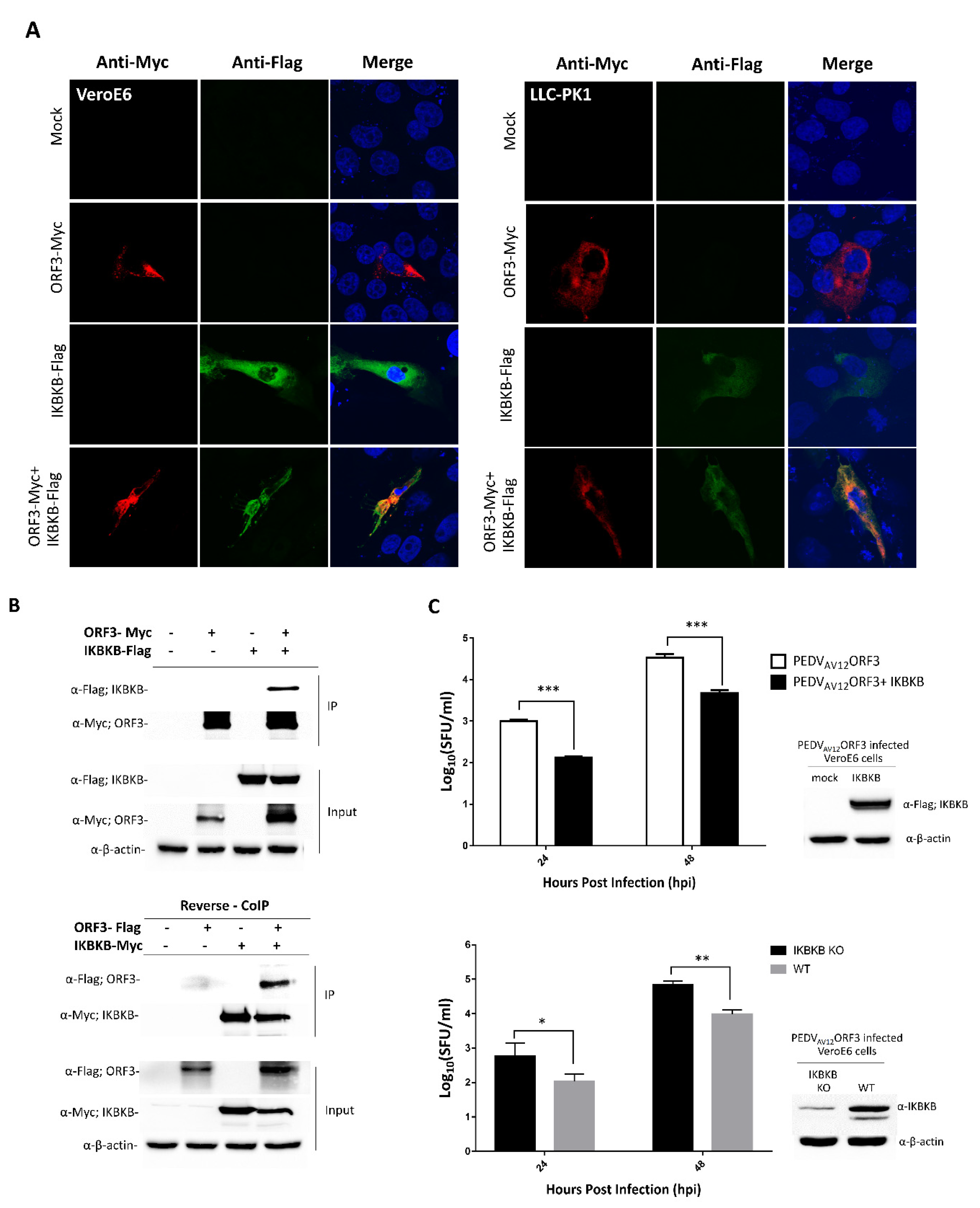 Pathogens 09 00376 g001