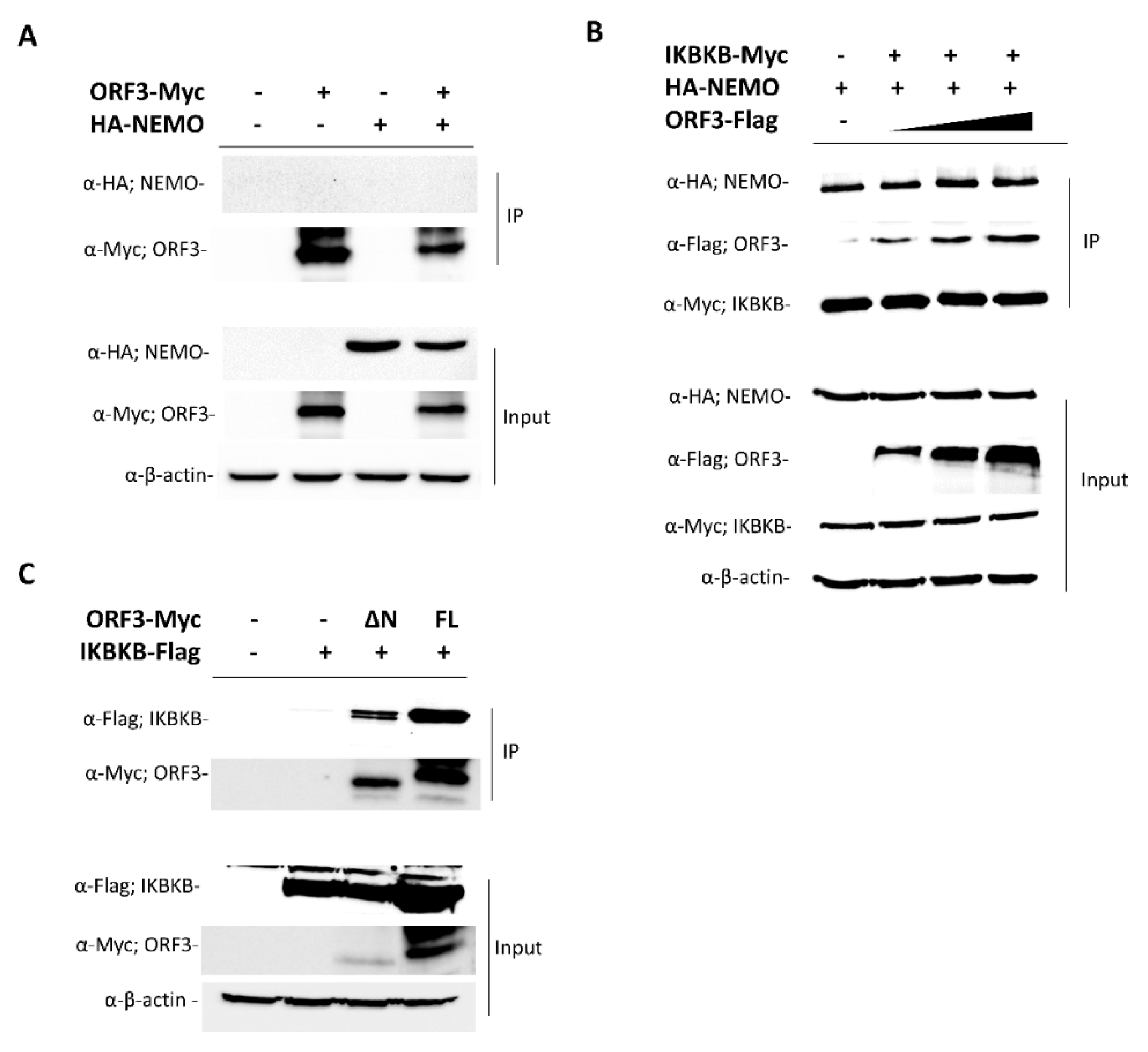Pathogens 09 00376 g003