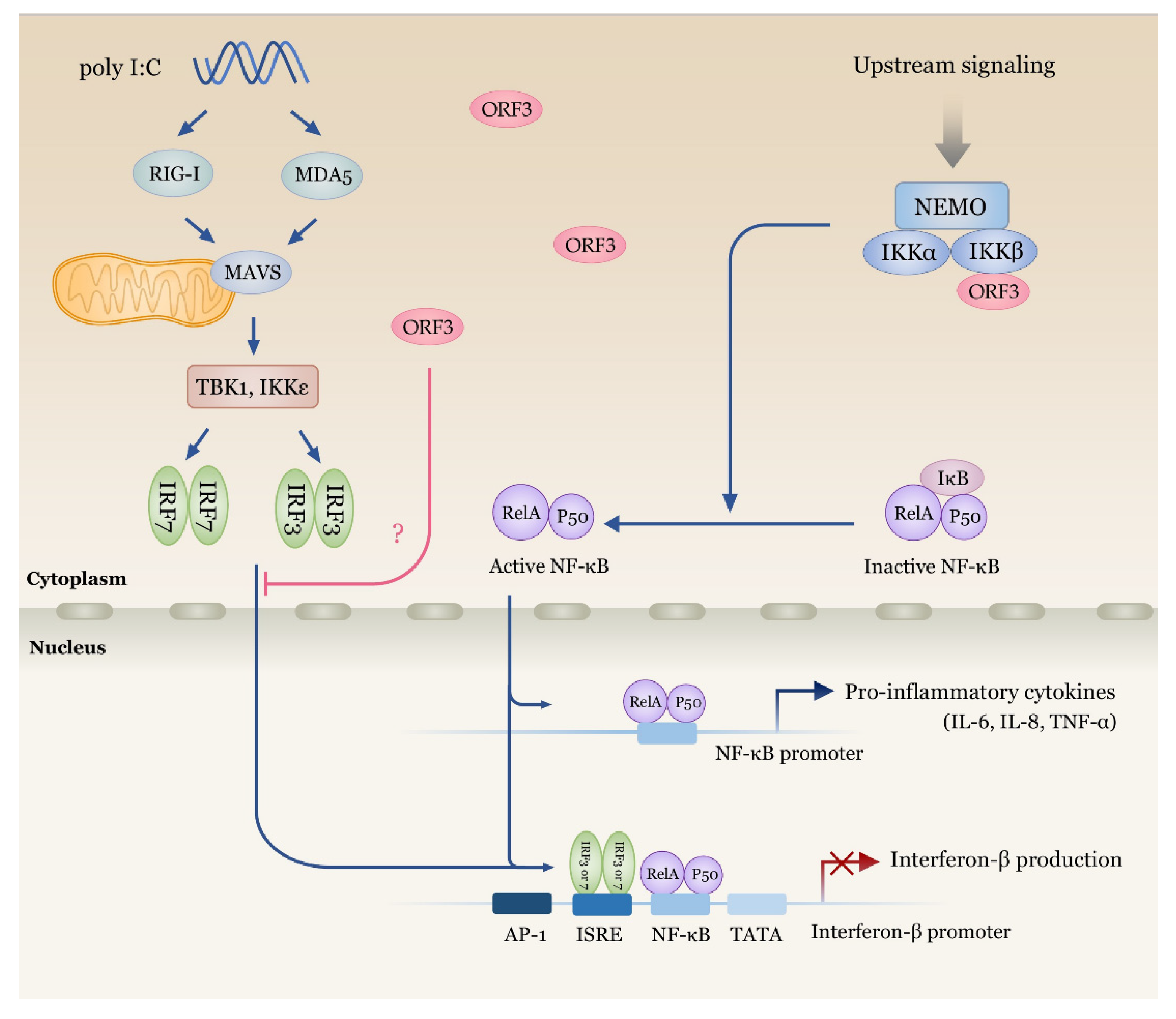 Pathogens 09 00376 g007