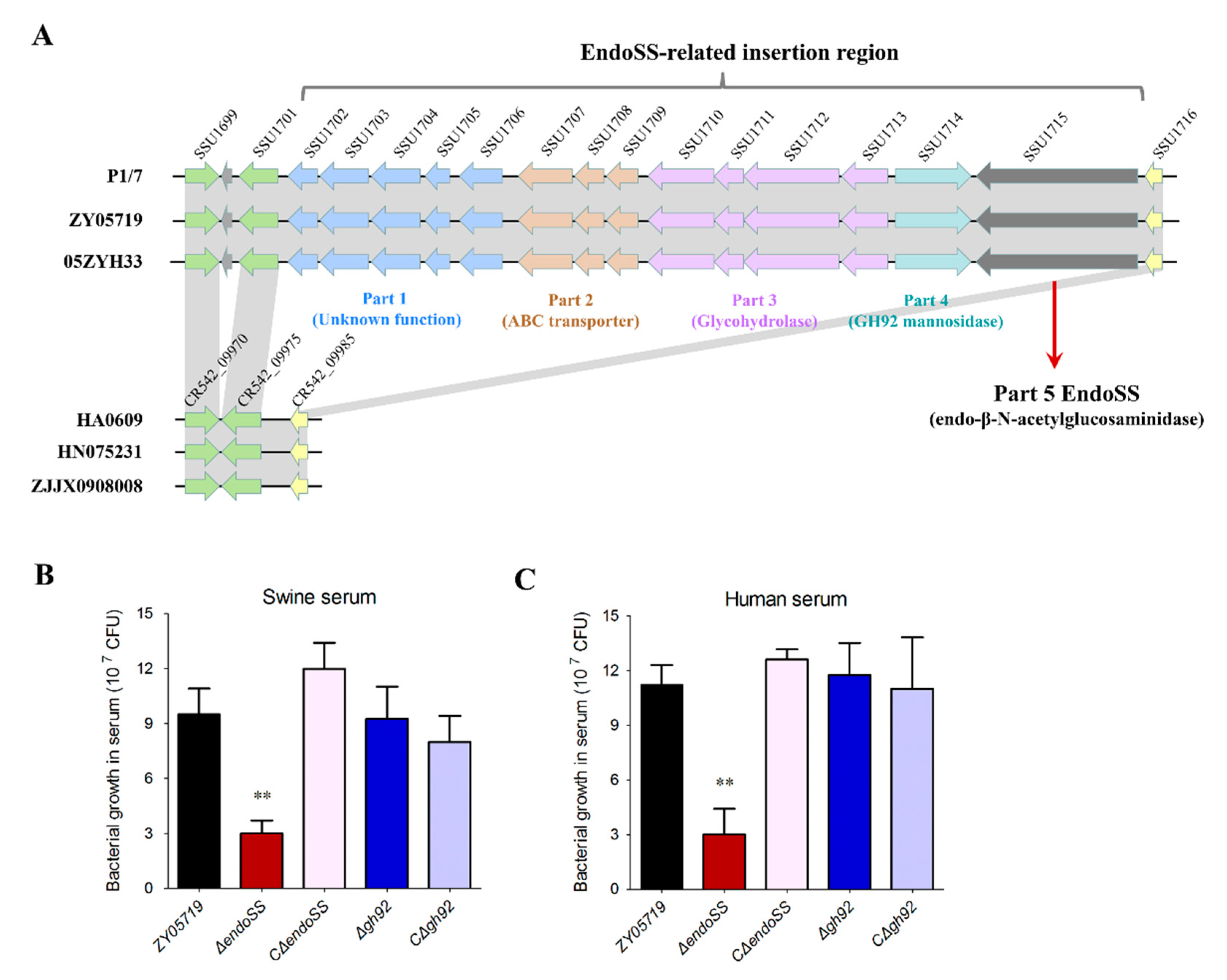 Pathogens 09 00387 g002 Pathogens 09 00387 g002