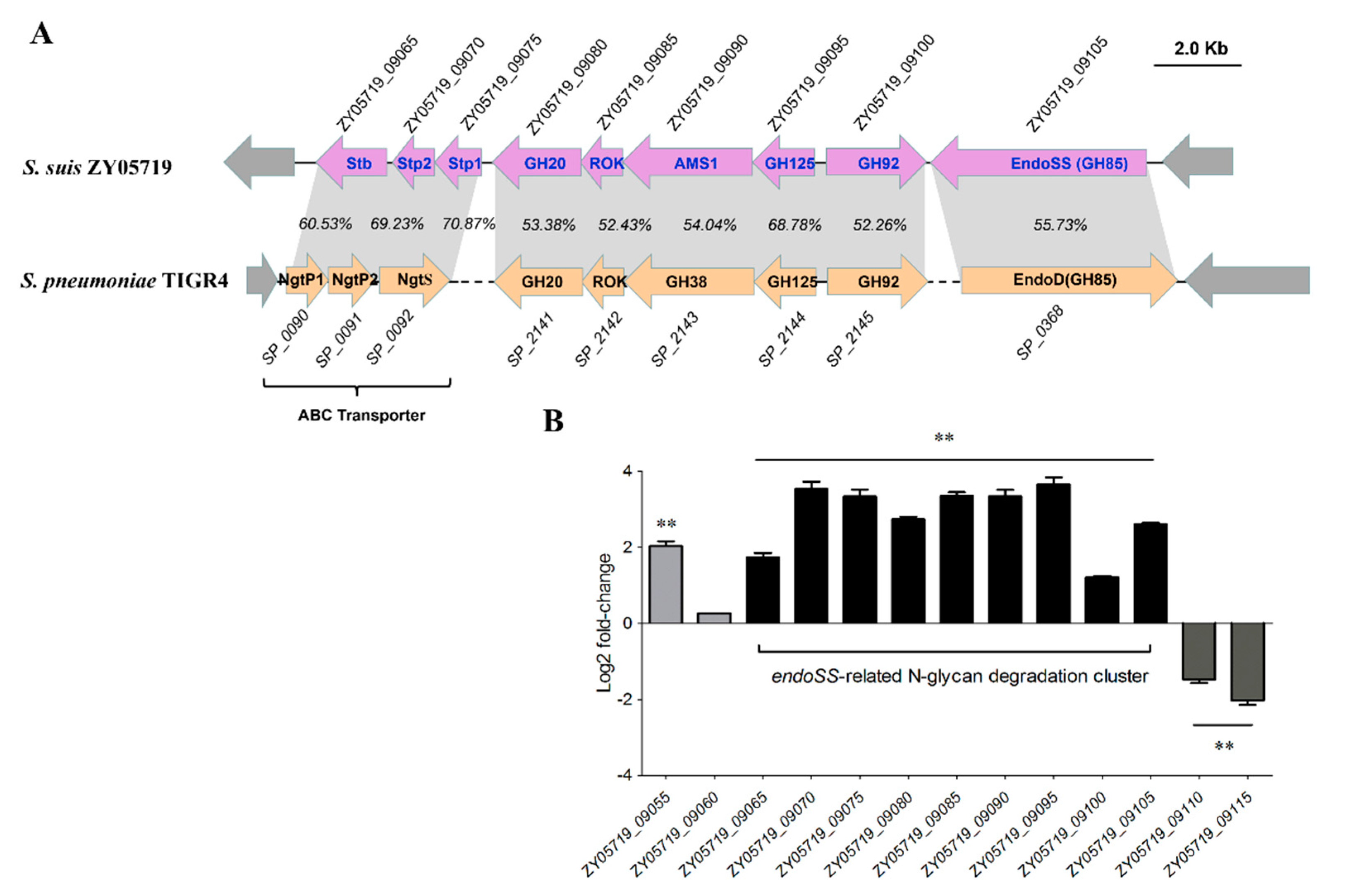 Pathogens 09 00387 g005 Pathogens 09 00387 g005