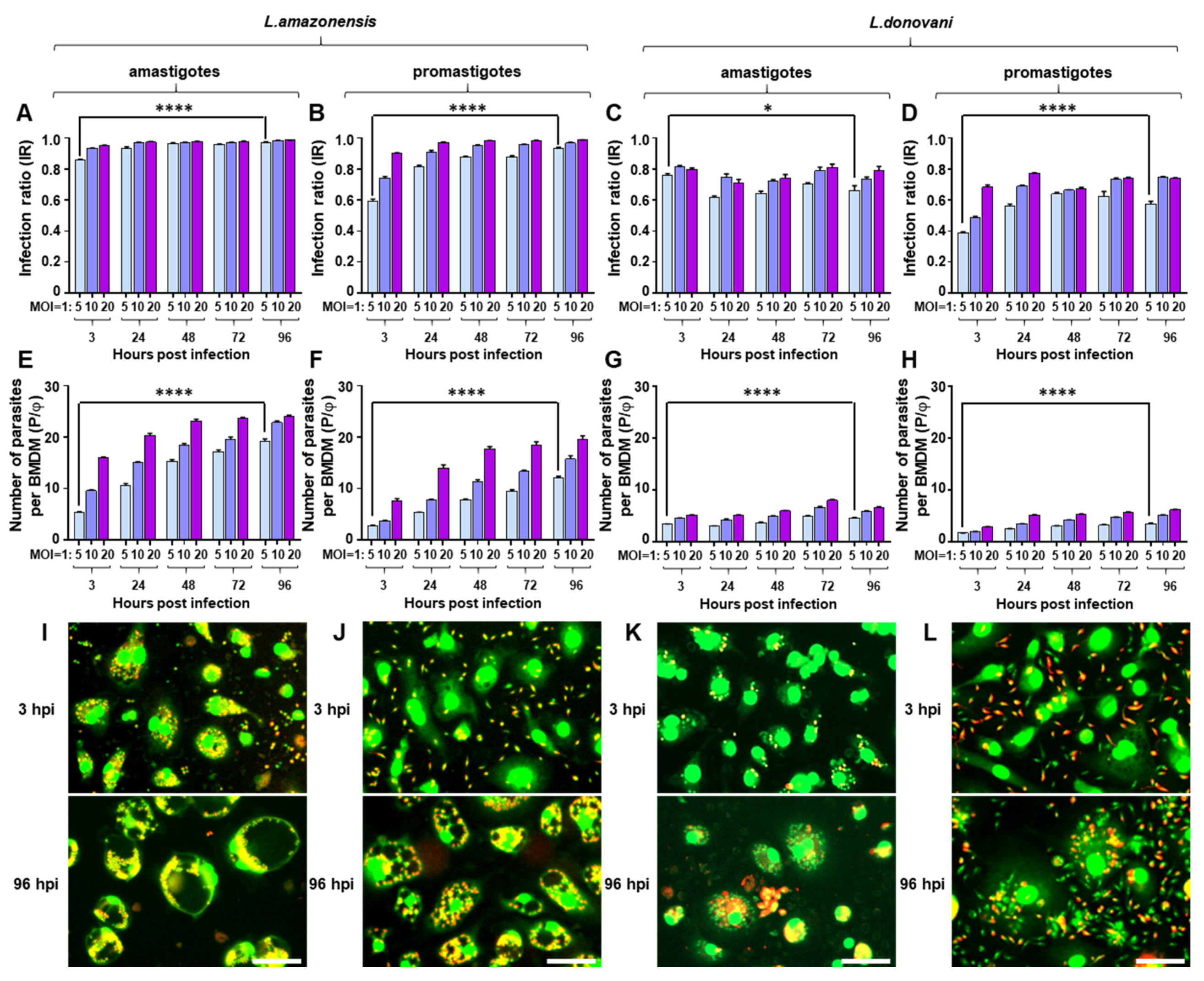 Pathogens 09 00393 g002