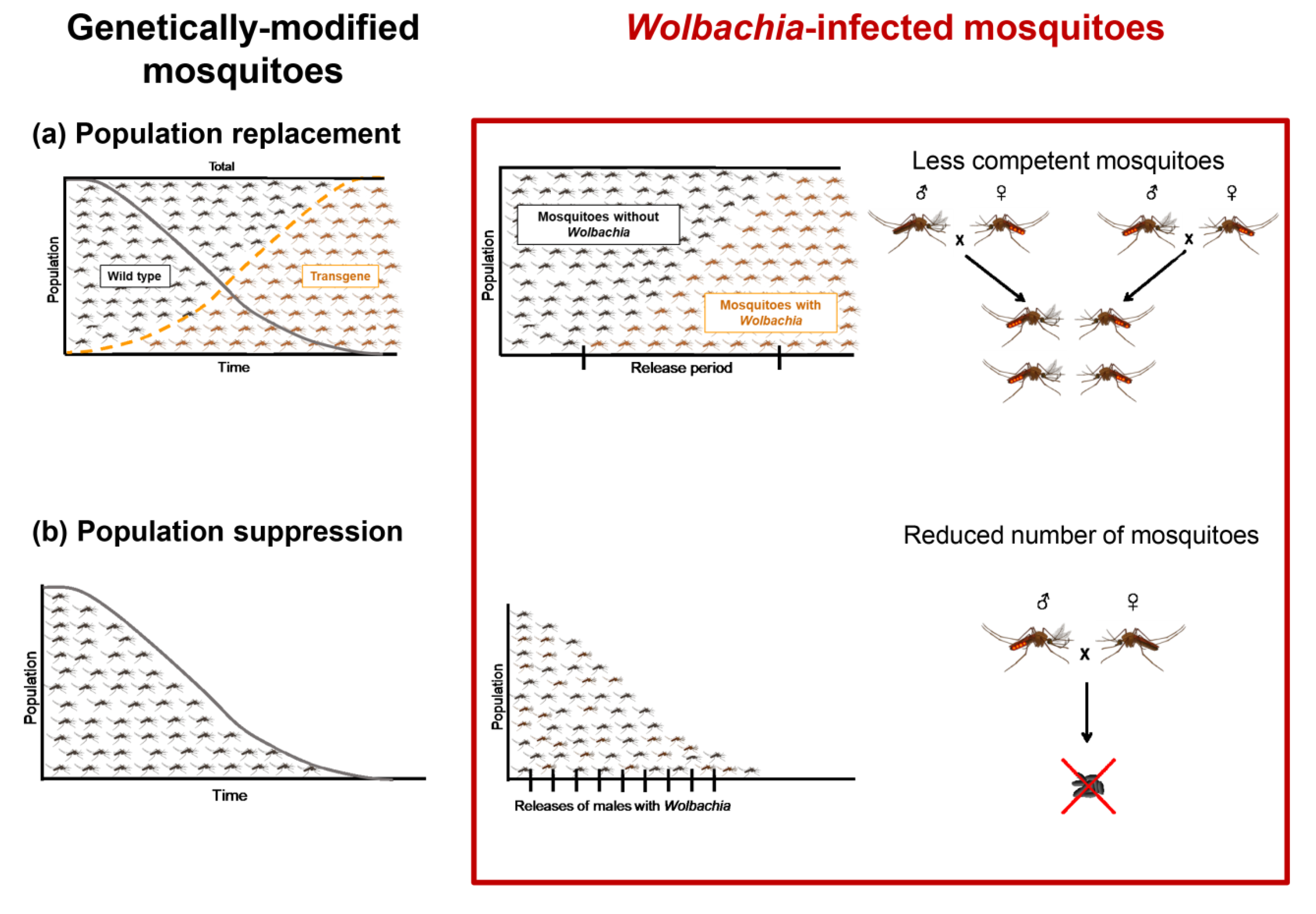 Pathogens 09 00404 g001