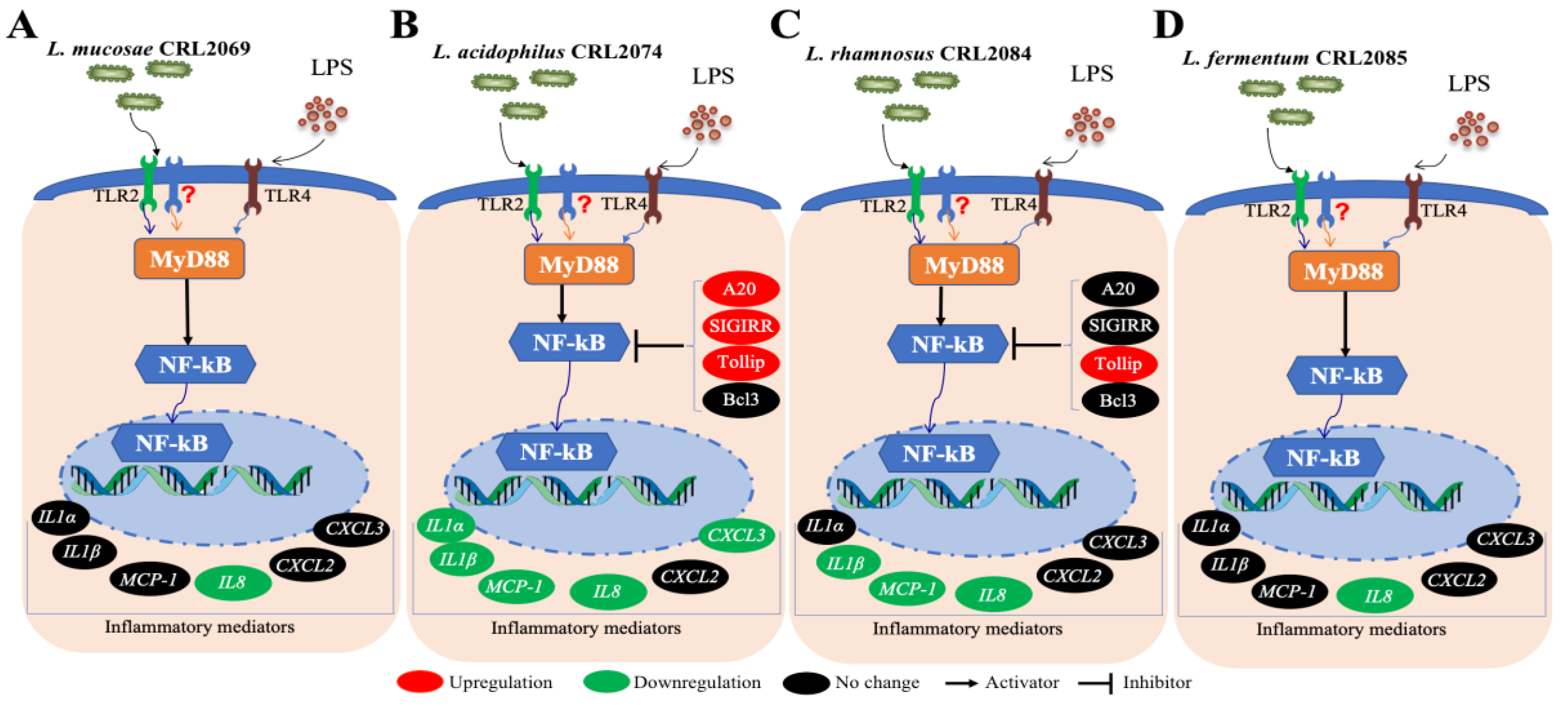 Pathogens 09 00410 g006