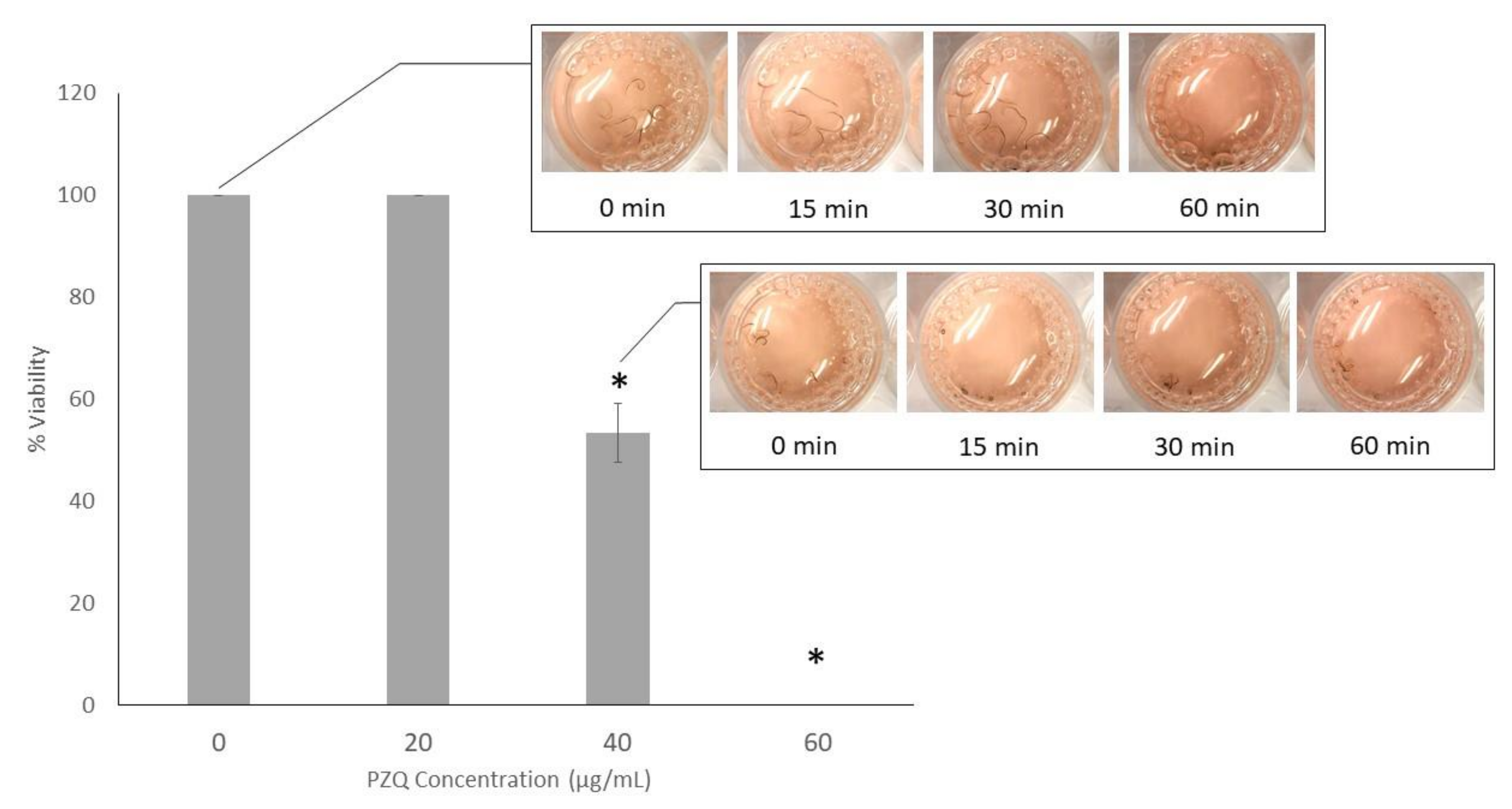 Pathogens 09 00417 g001