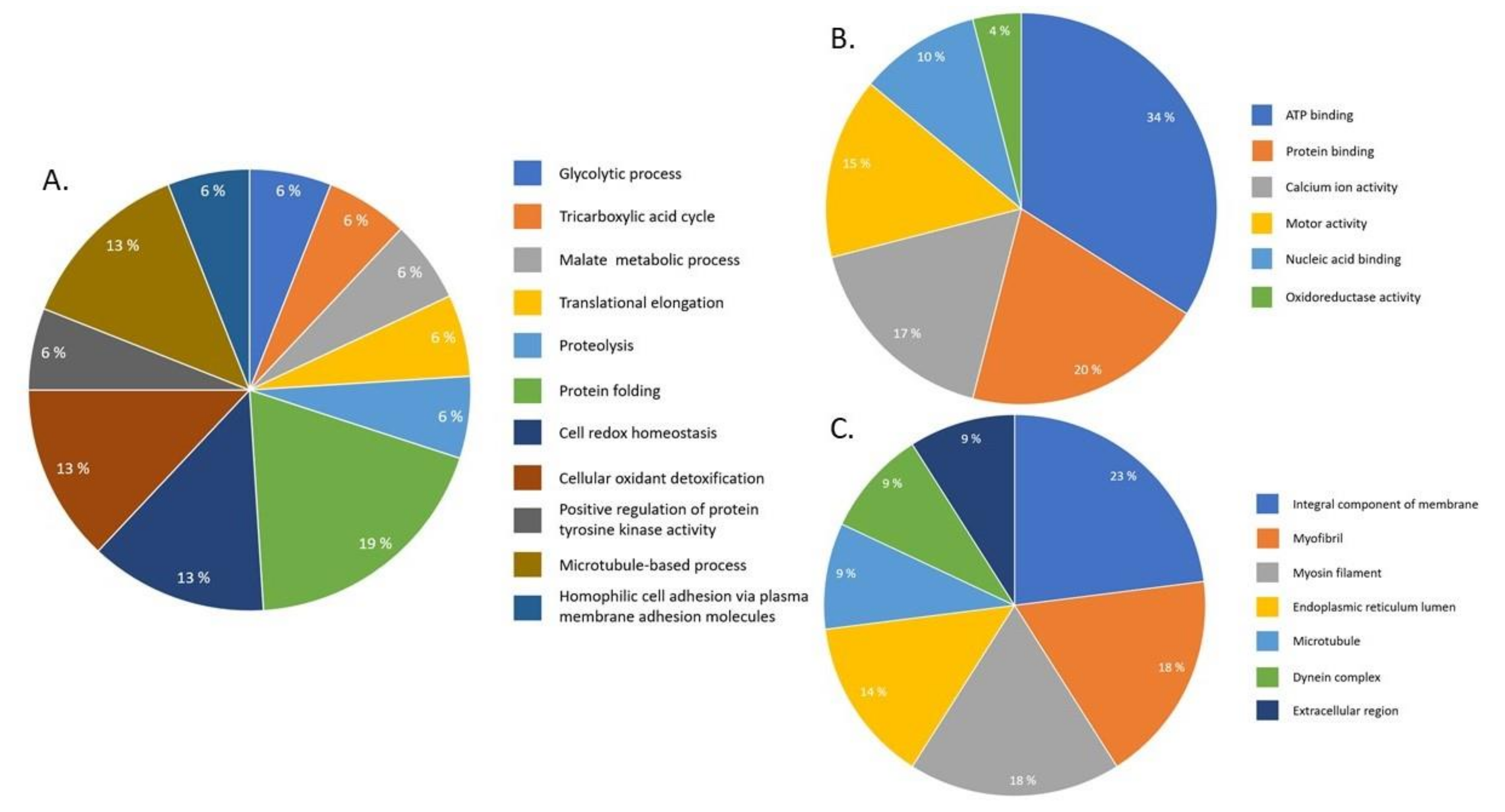 Pathogens 09 00417 g004