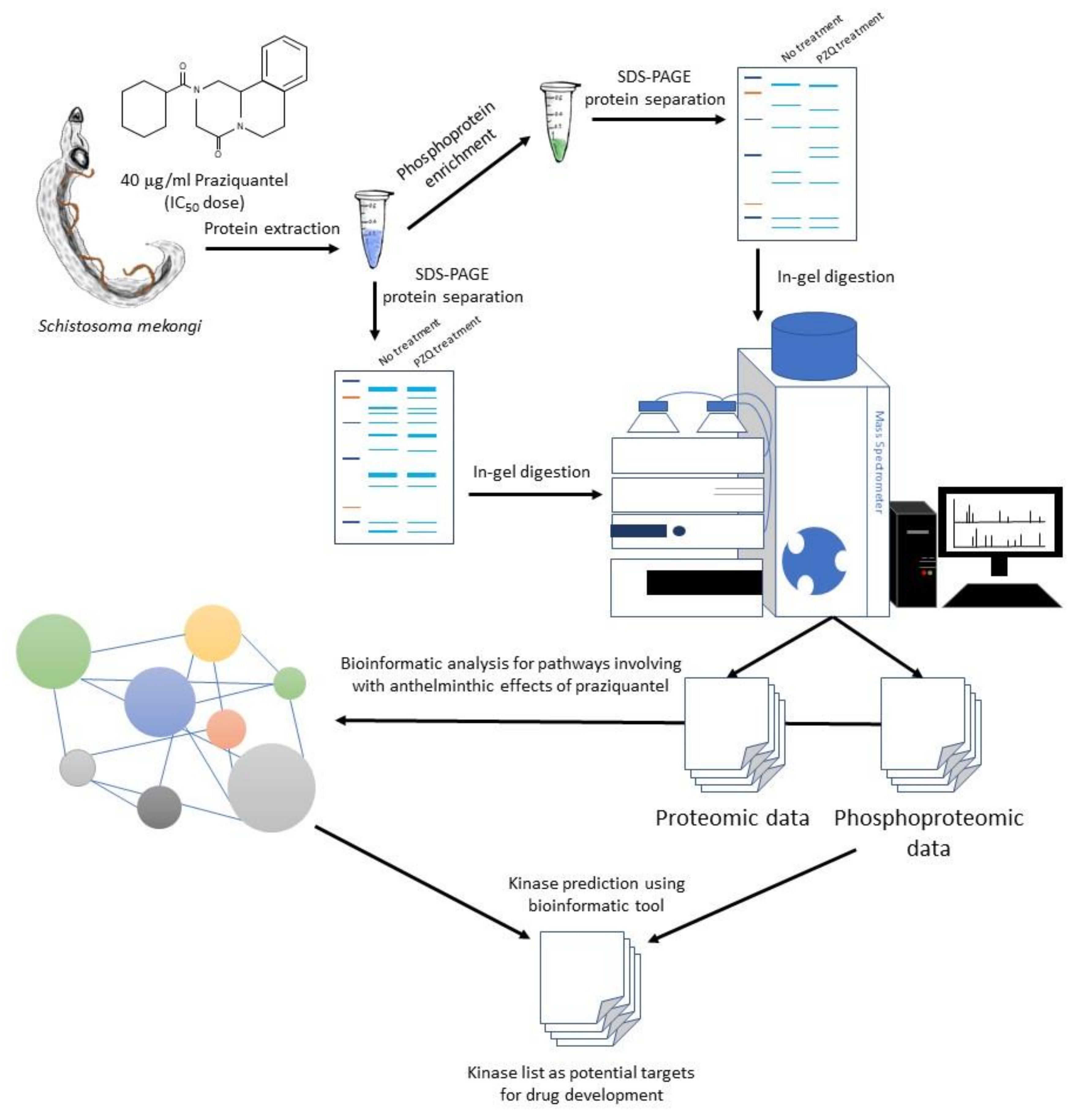Pathogens 09 00417 g008