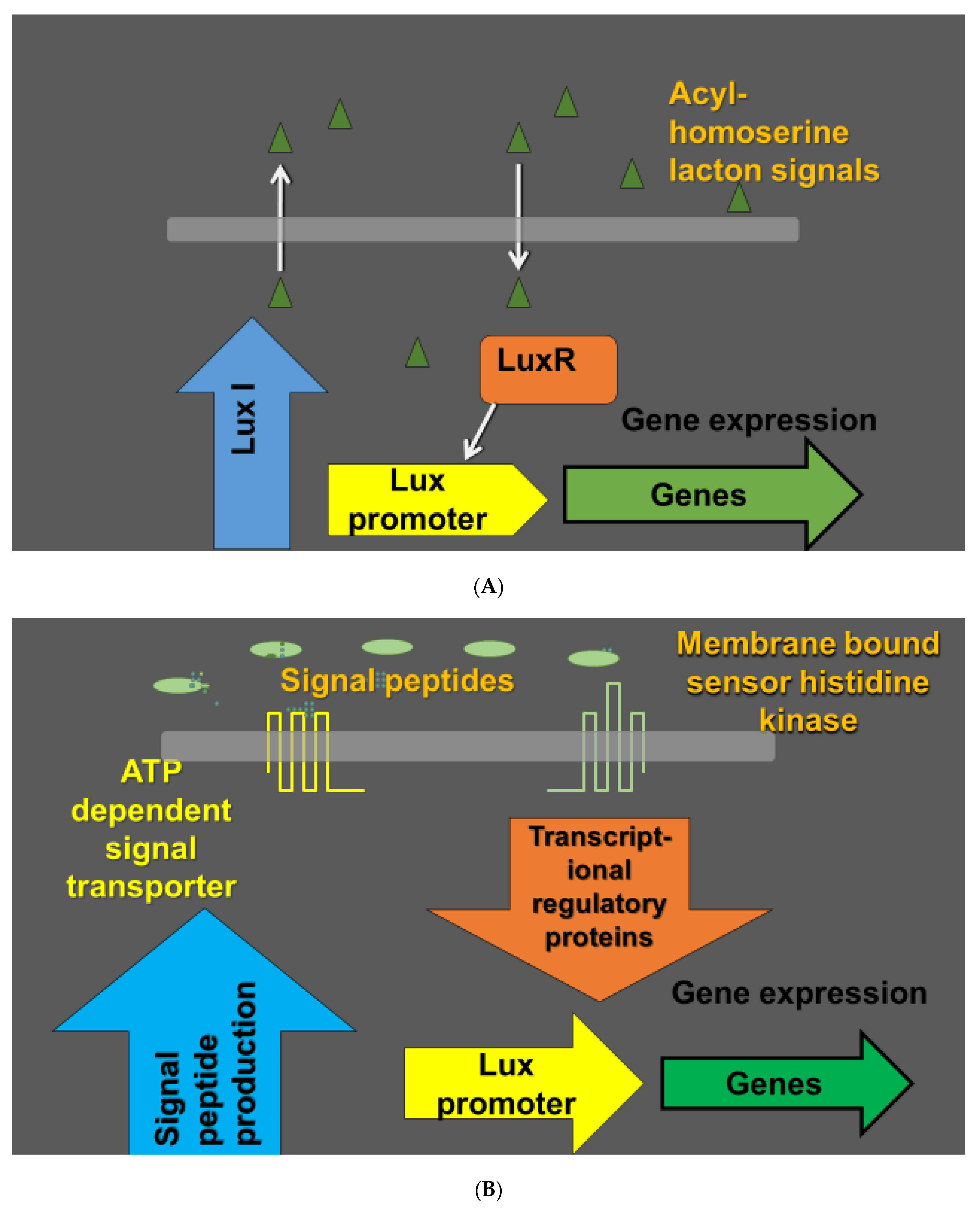 Pathogens 09 00419 g001