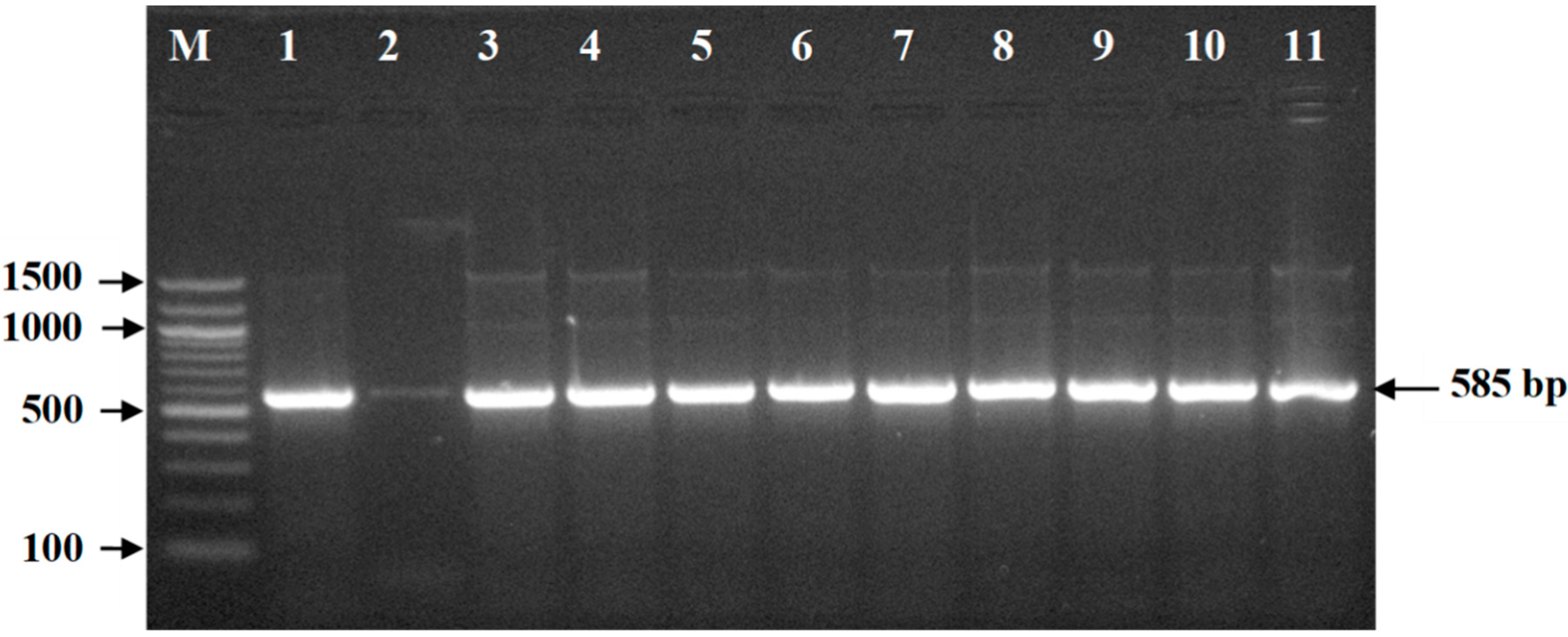 Pathogens 09 00420 g001