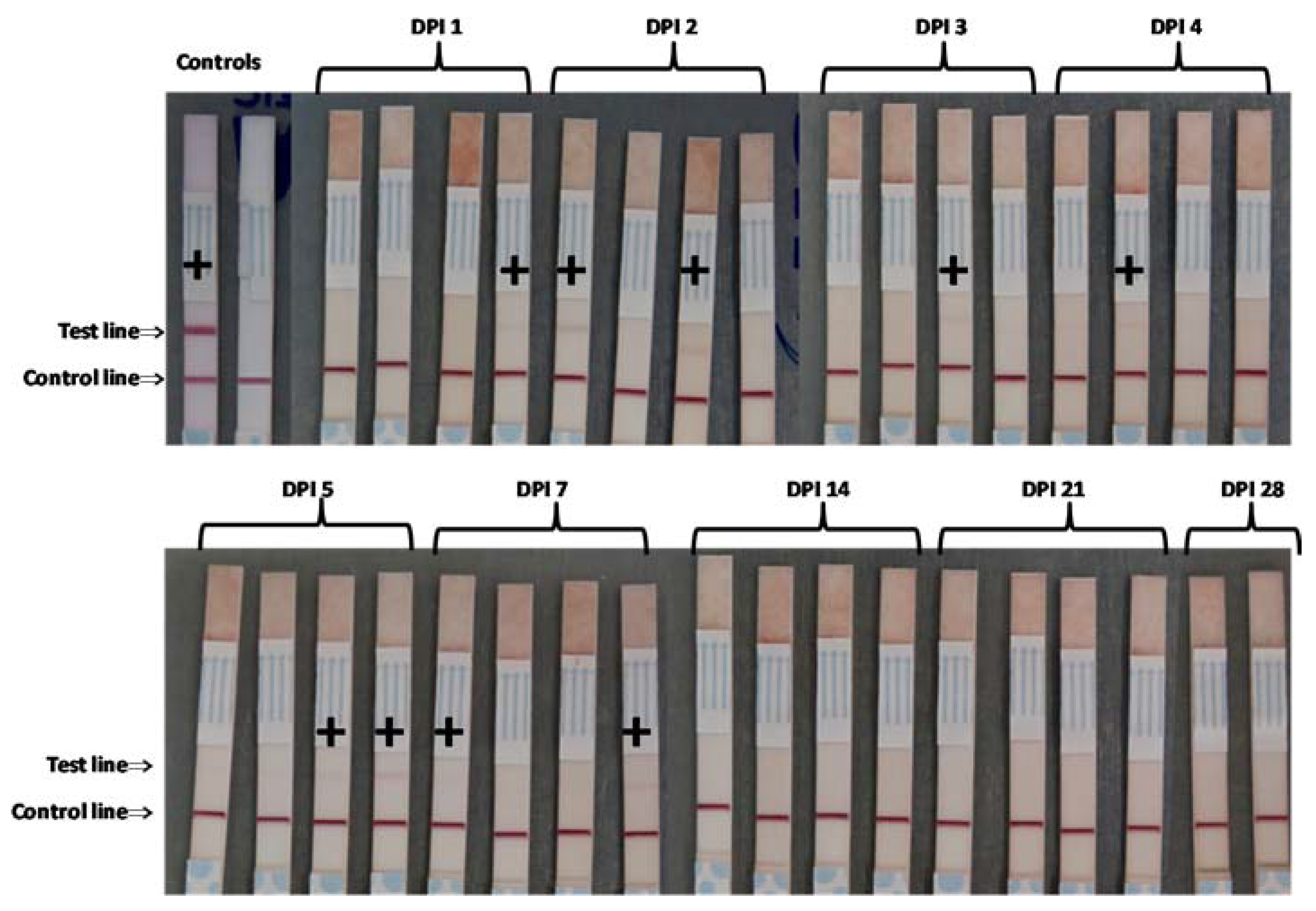 Pathogens 09 00424 g006 Pathogens 09 00424 g006