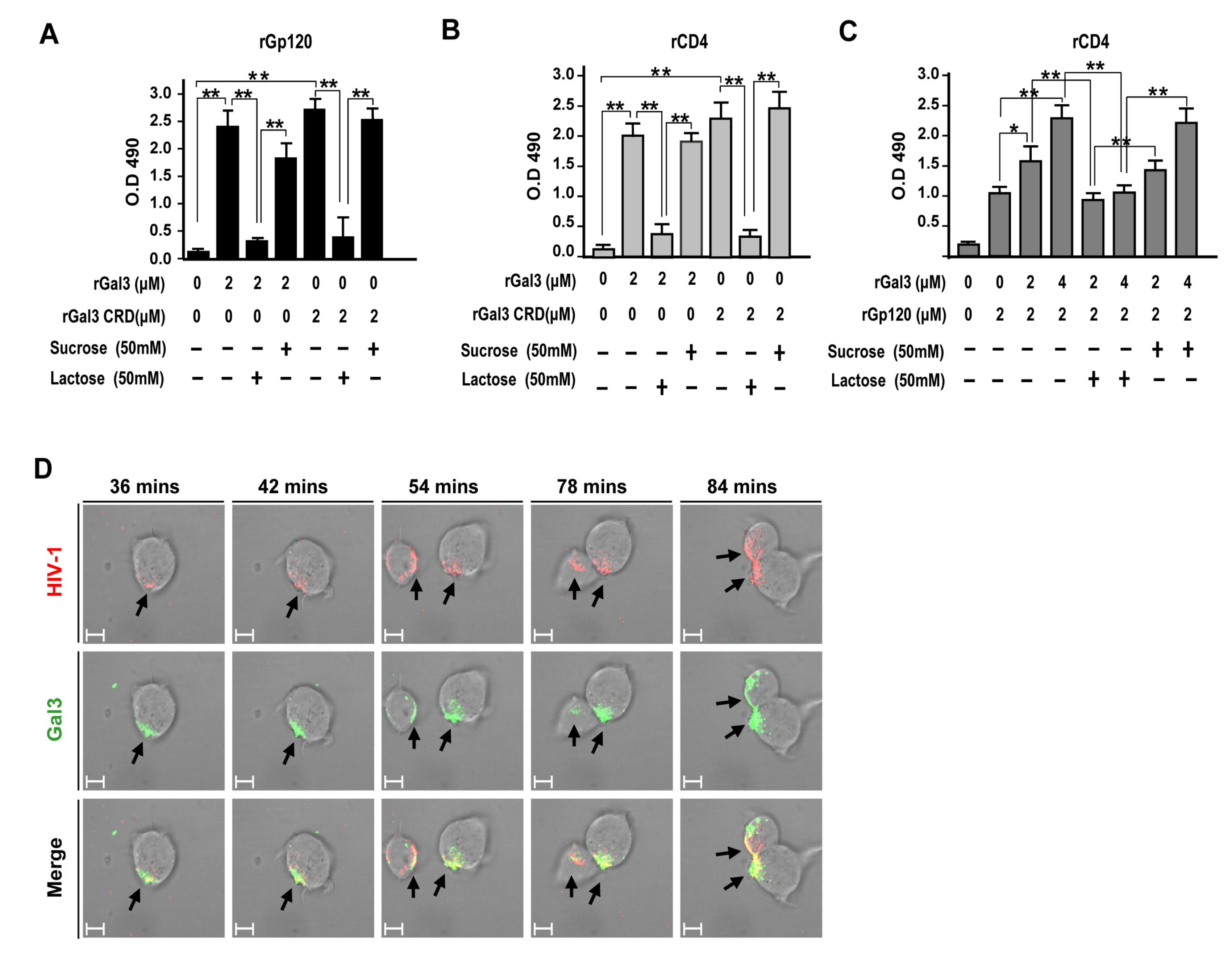 Pathogens 09 00425 g005
