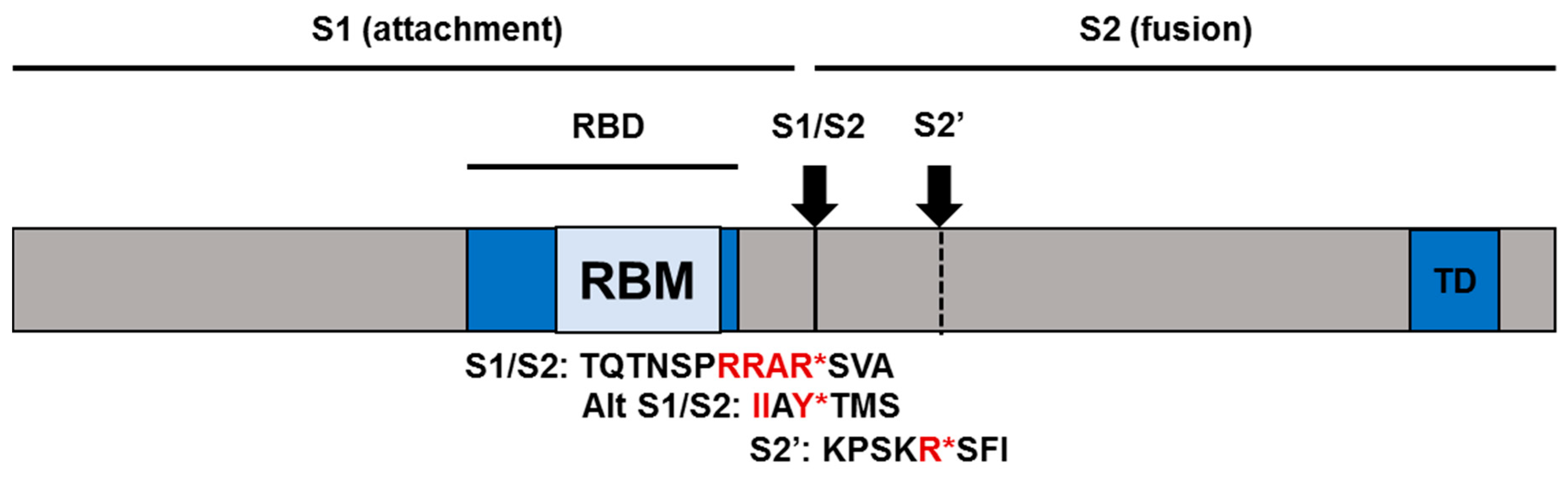 Pathogens 09 00426 g001