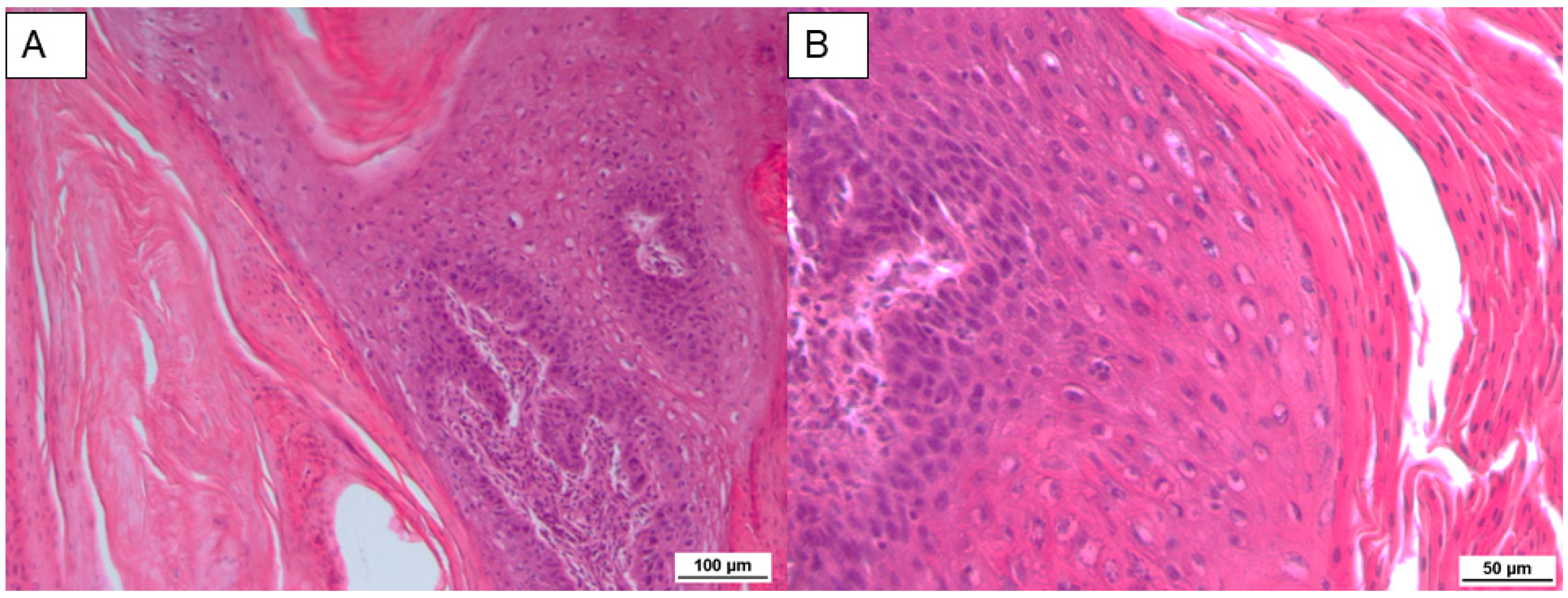 Pathogens 09 00429 g001 Pathogens 09 00429 g001