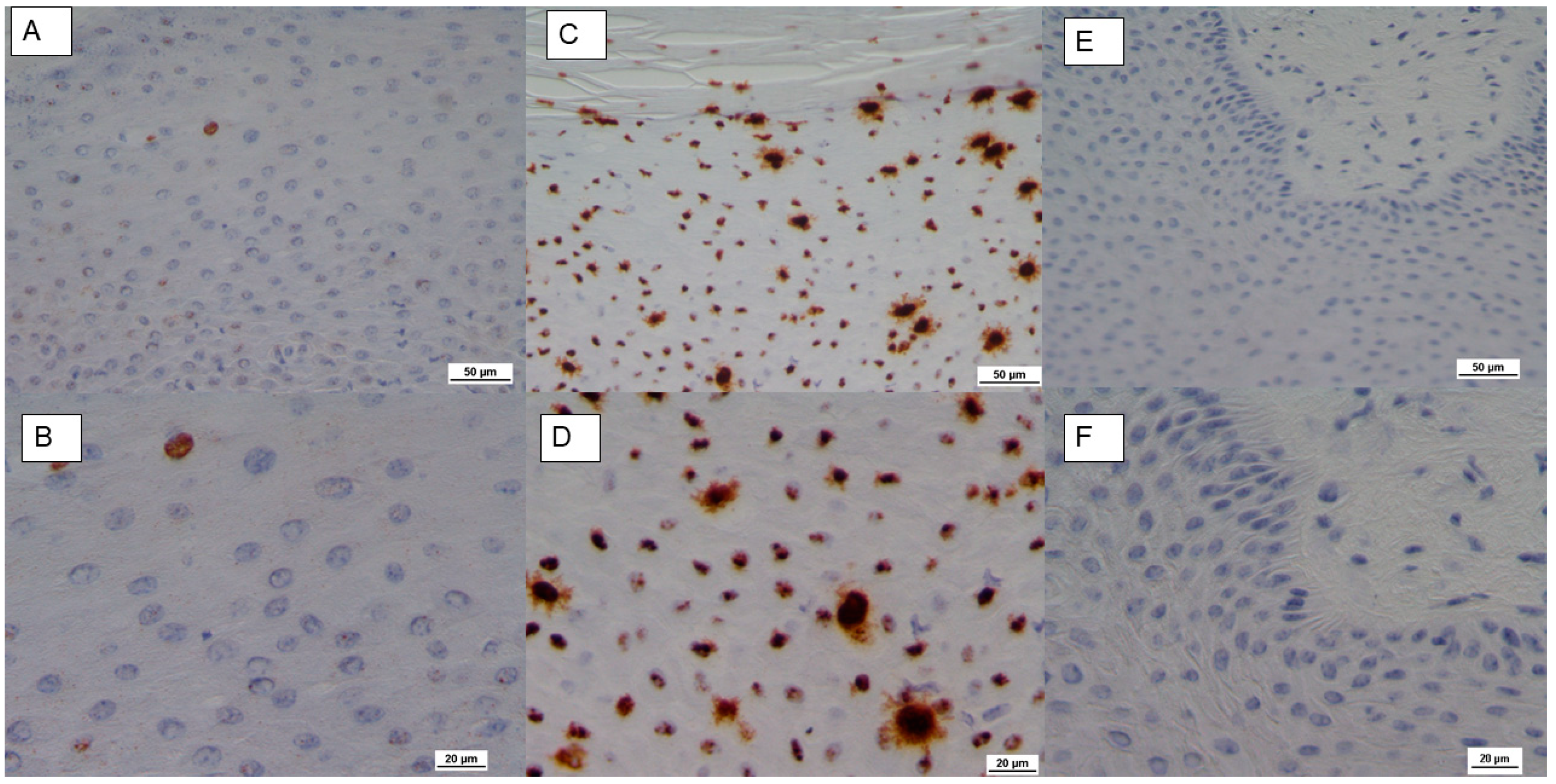Pathogens 09 00429 g002 Pathogens 09 00429 g002