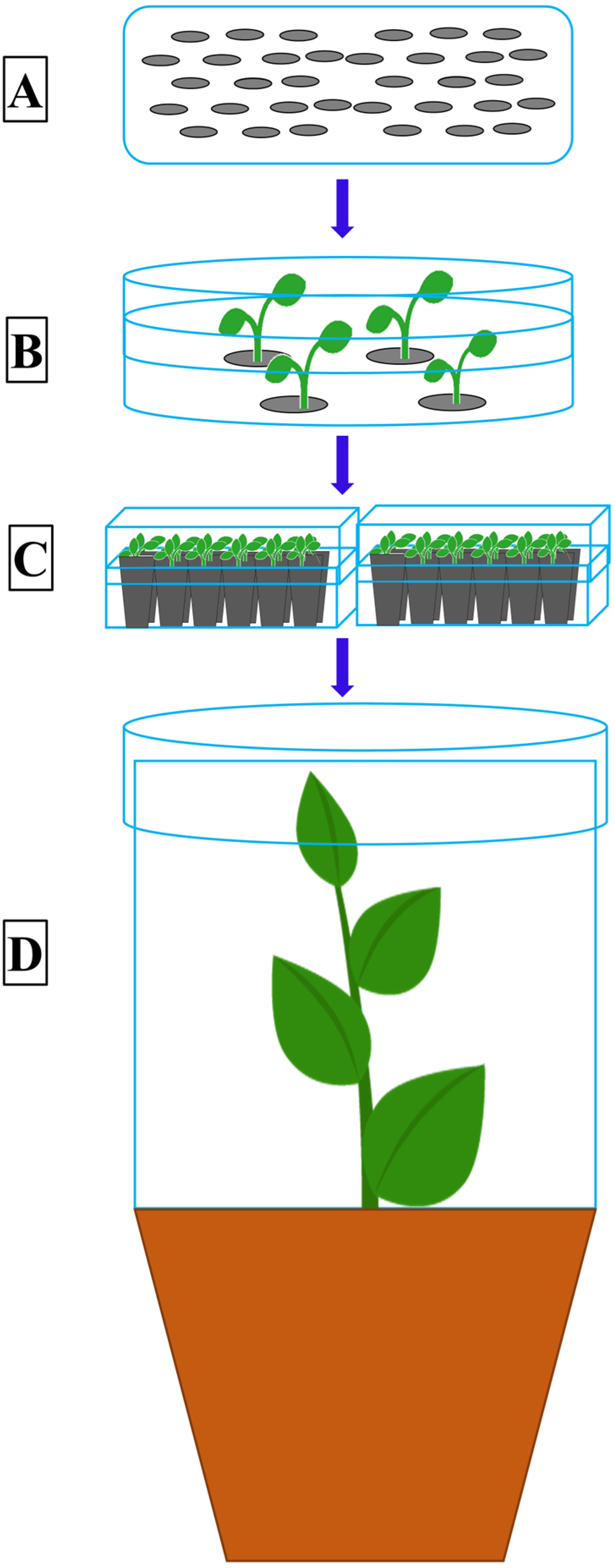 Pathogens 09 00434 g002 Pathogens 09 00434 g002
