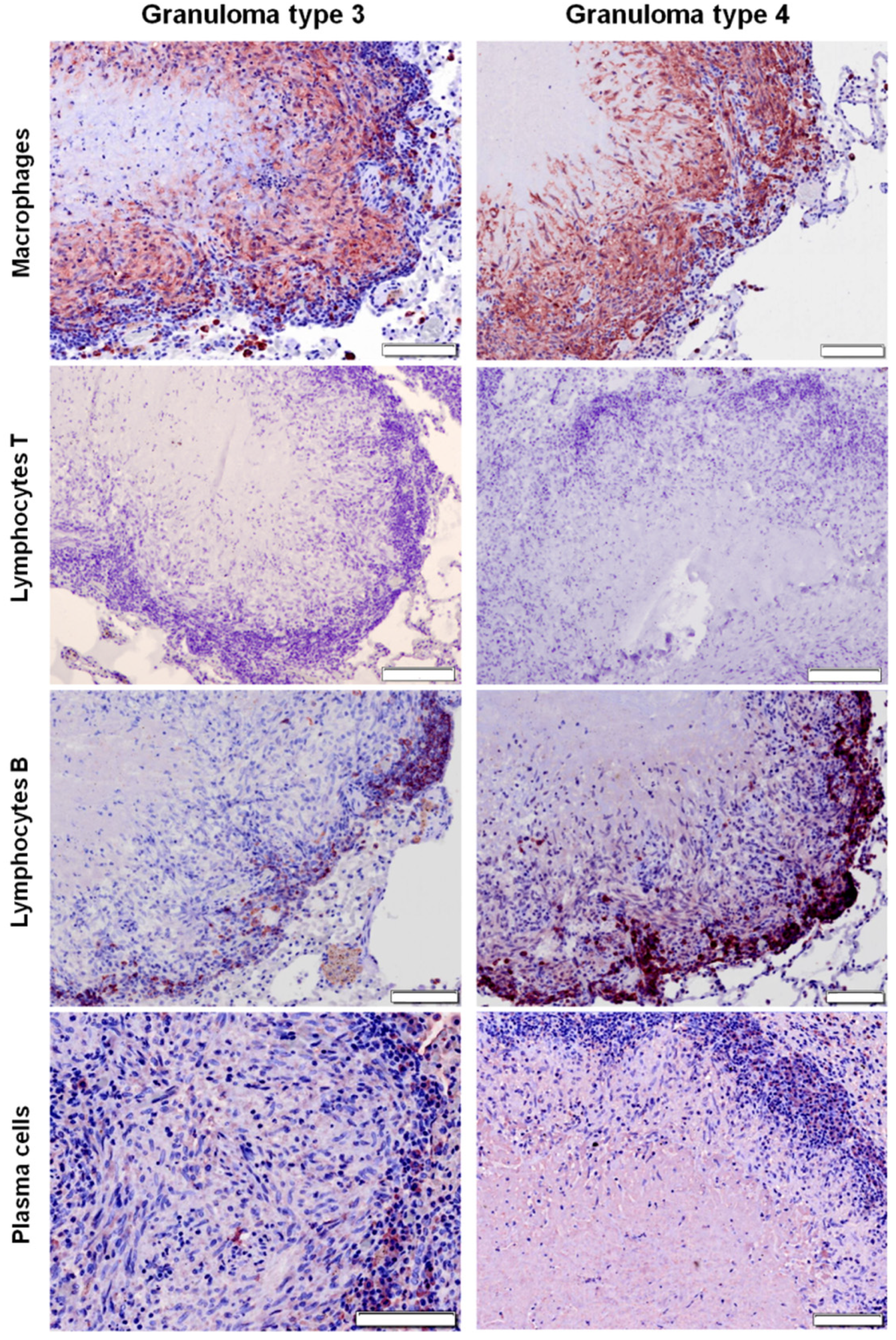 Pathogens 09 00456 g003 Pathogens 09 00456 g003