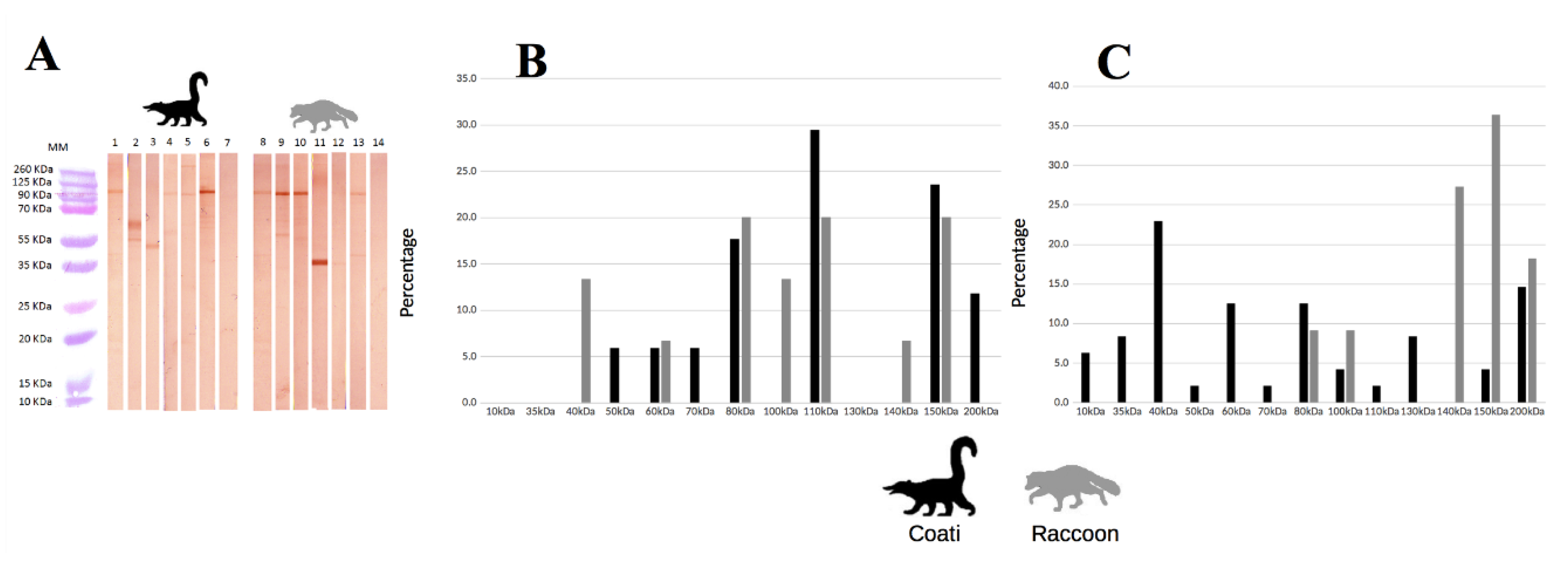Pathogens 09 00464 g002 Pathogens 09 00464 g002