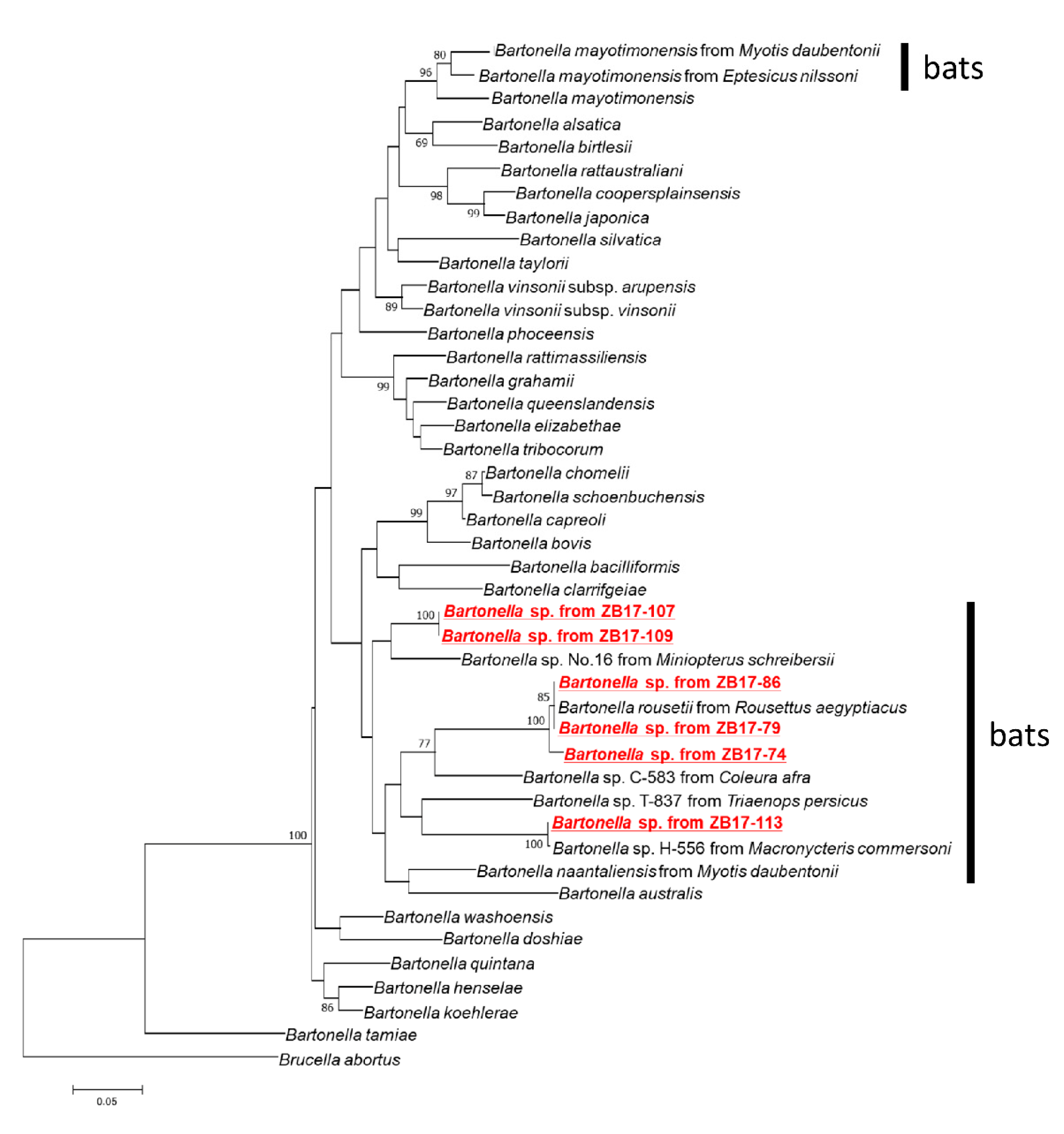 Pathogens 09 00469 g002 Pathogens 09 00469 g002