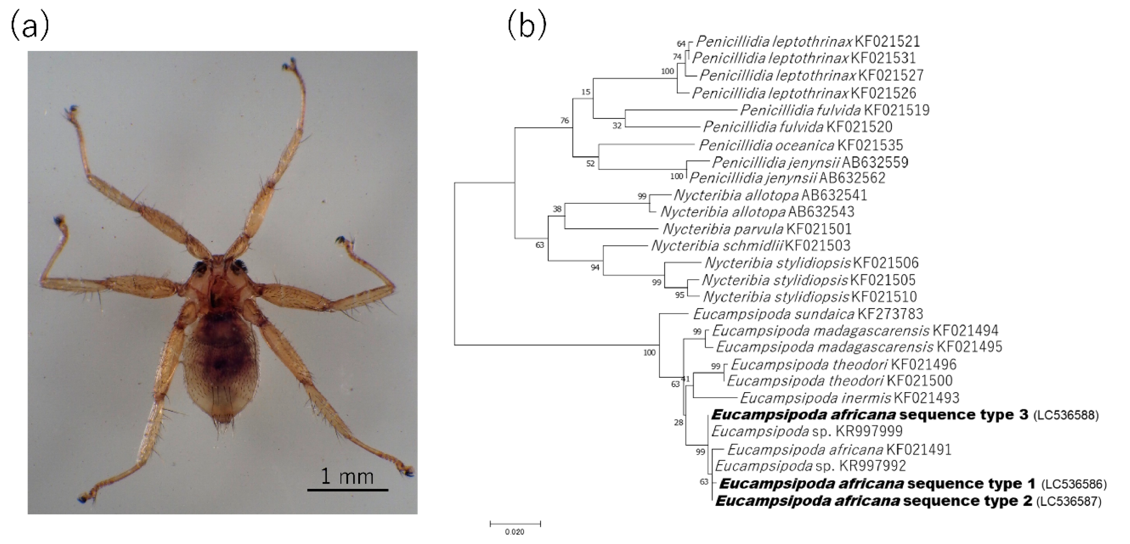 Pathogens 09 00469 g003 Pathogens 09 00469 g003