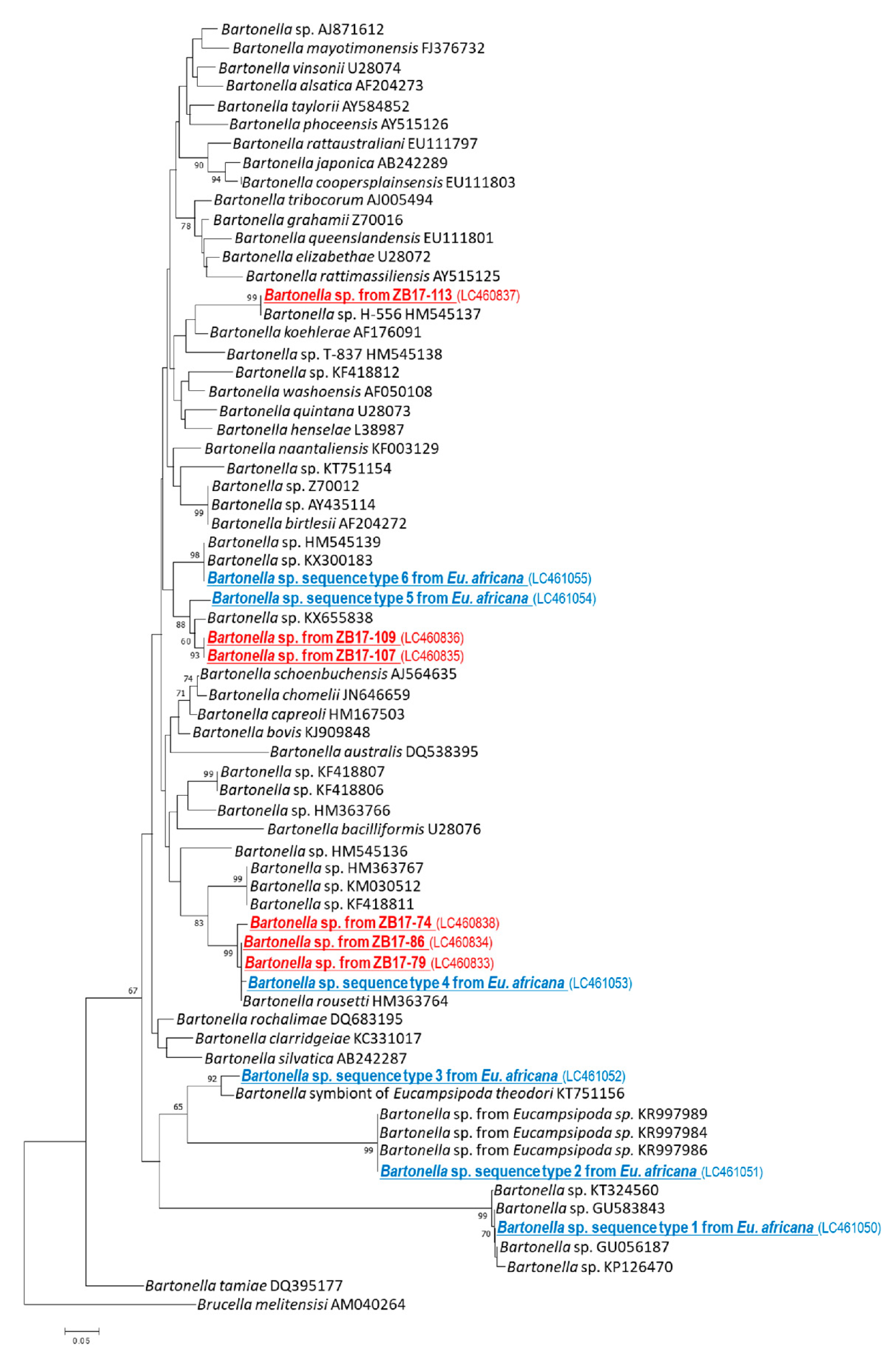 Pathogens 09 00469 g004 Pathogens 09 00469 g004