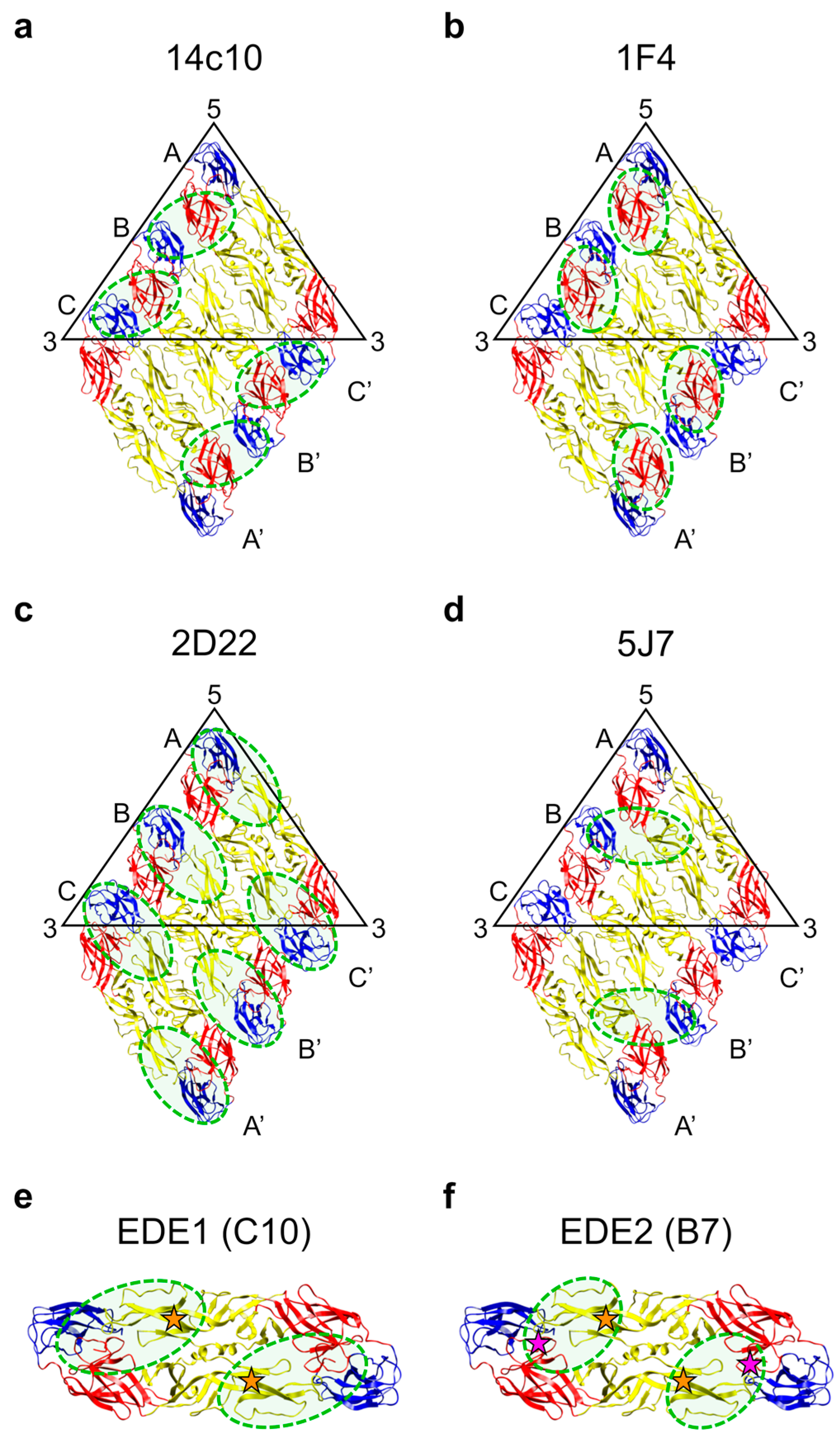 Pathogens 09 00470 g005