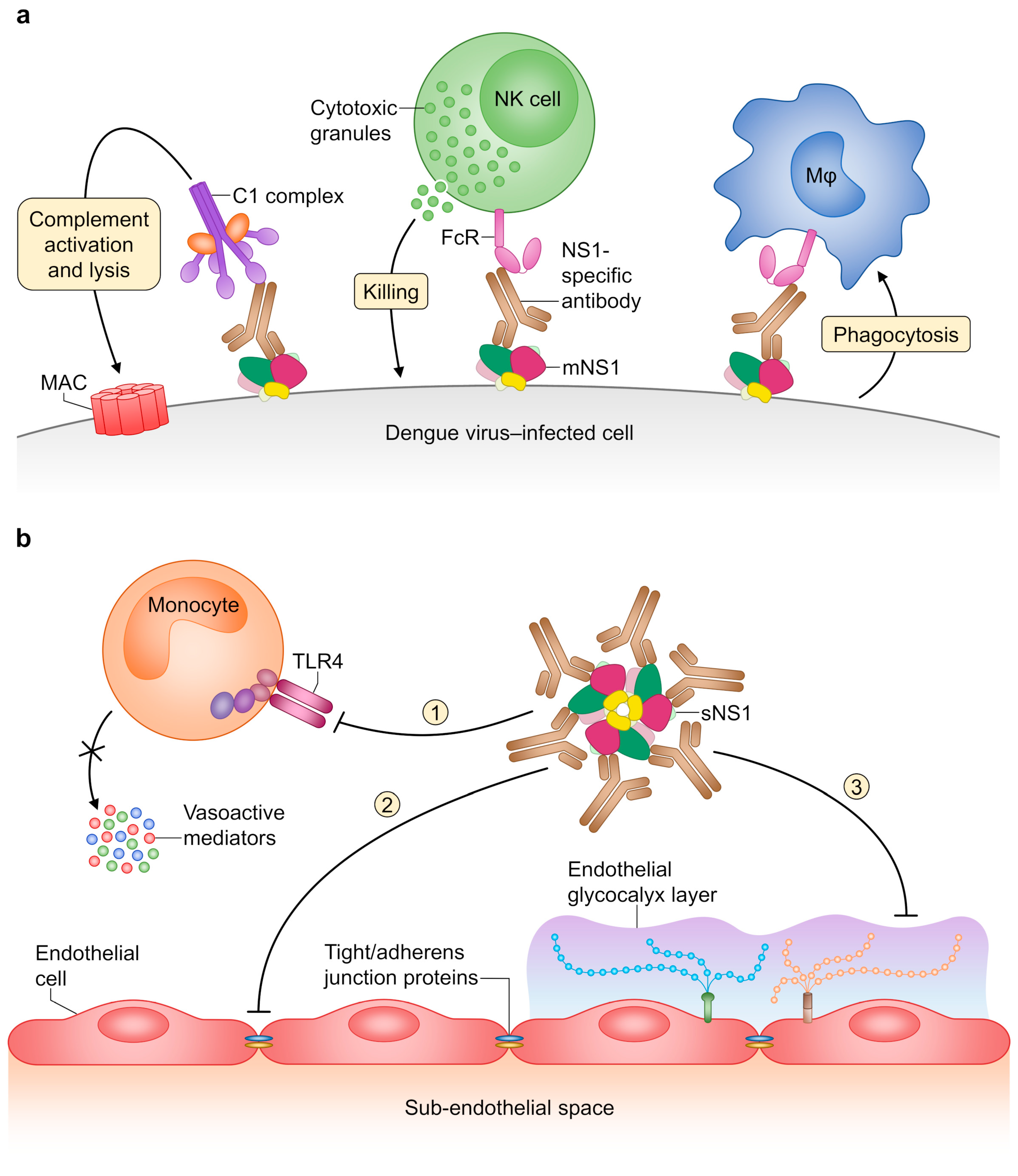 Pathogens 09 00470 g006
