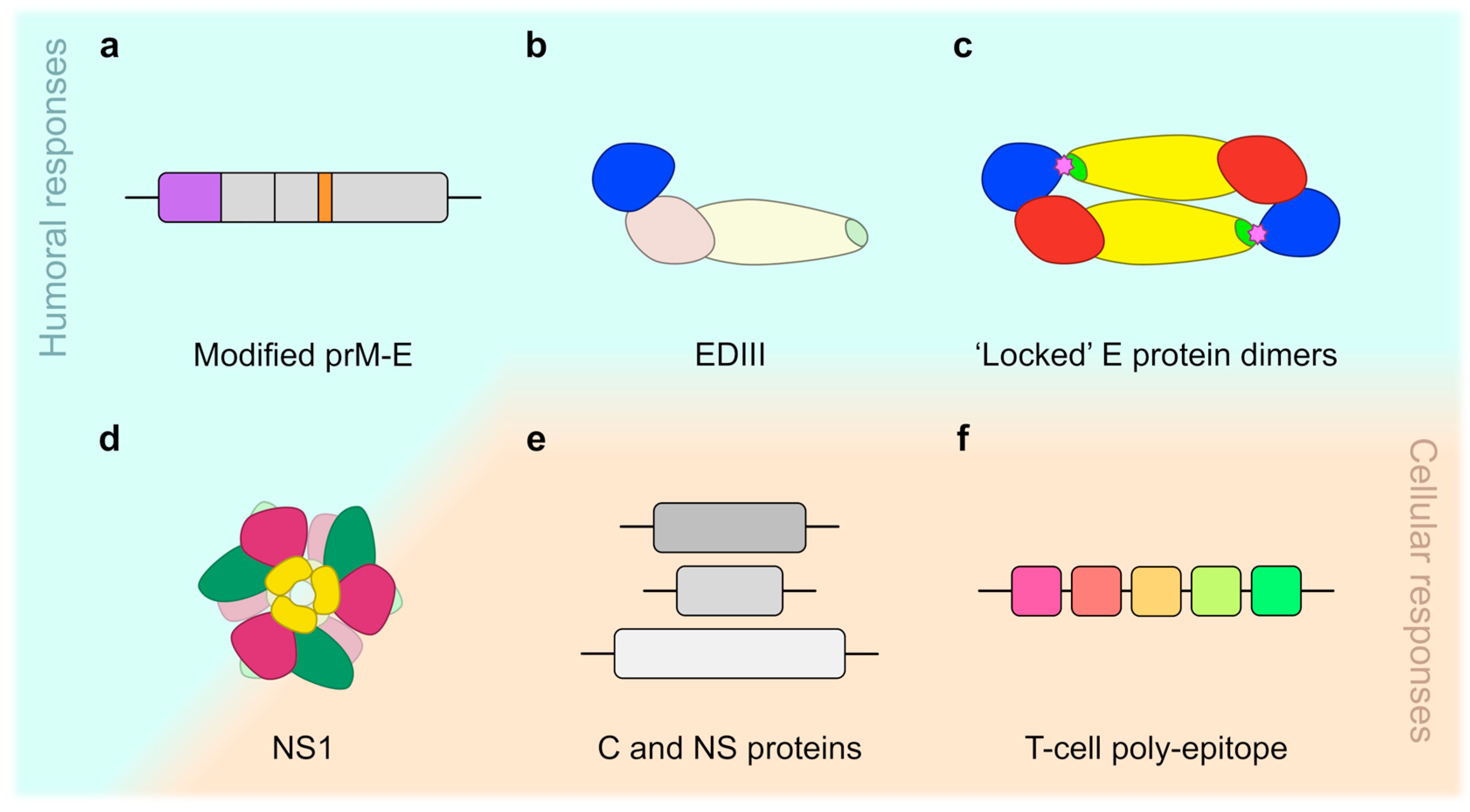 Pathogens 09 00470 g010