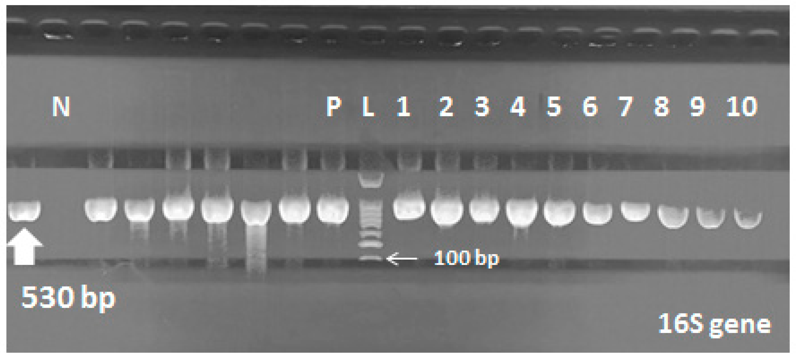 Pathogens 09 00471 g002