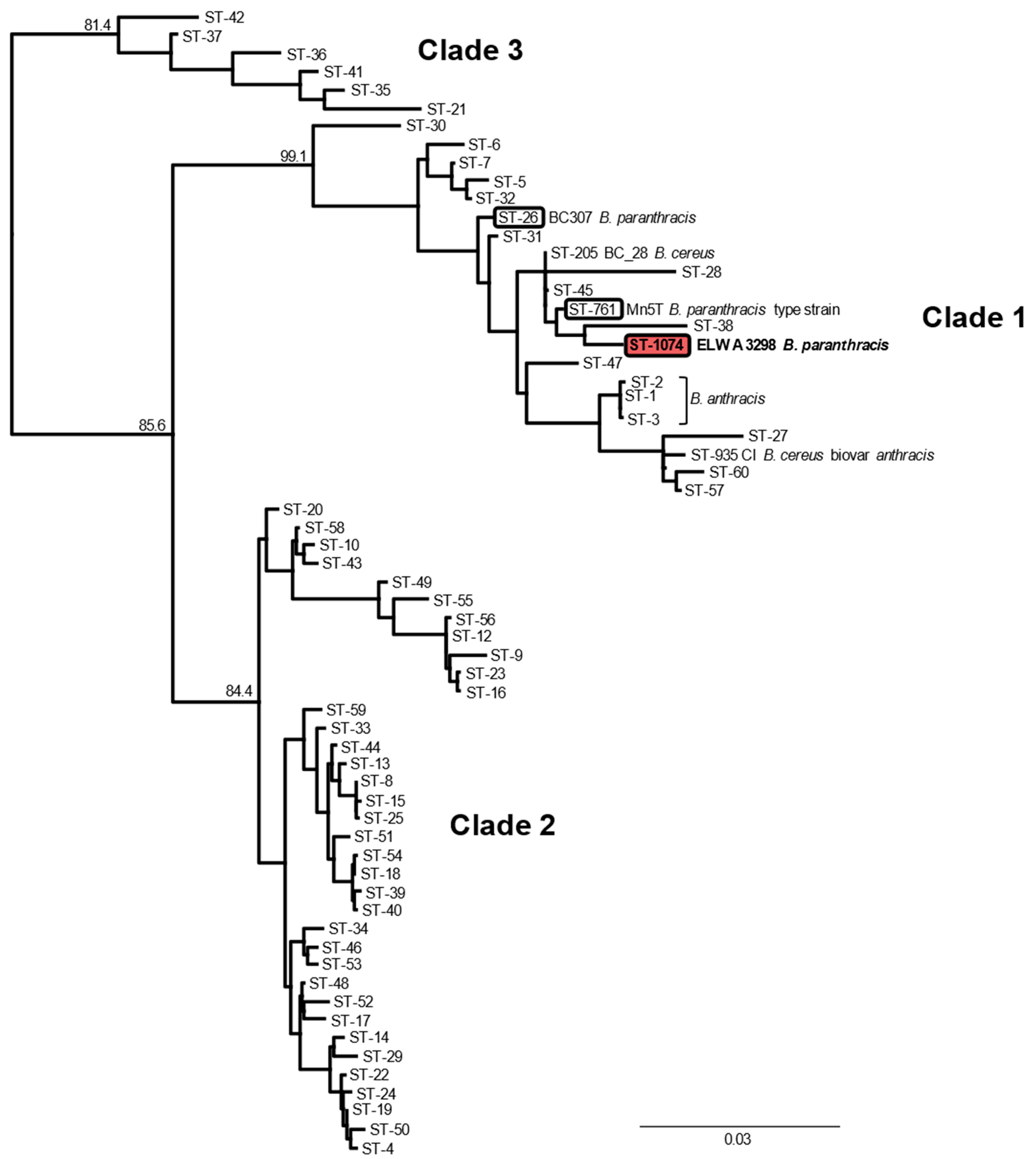 Pathogens 09 00475 g001 Pathogens 09 00475 g001