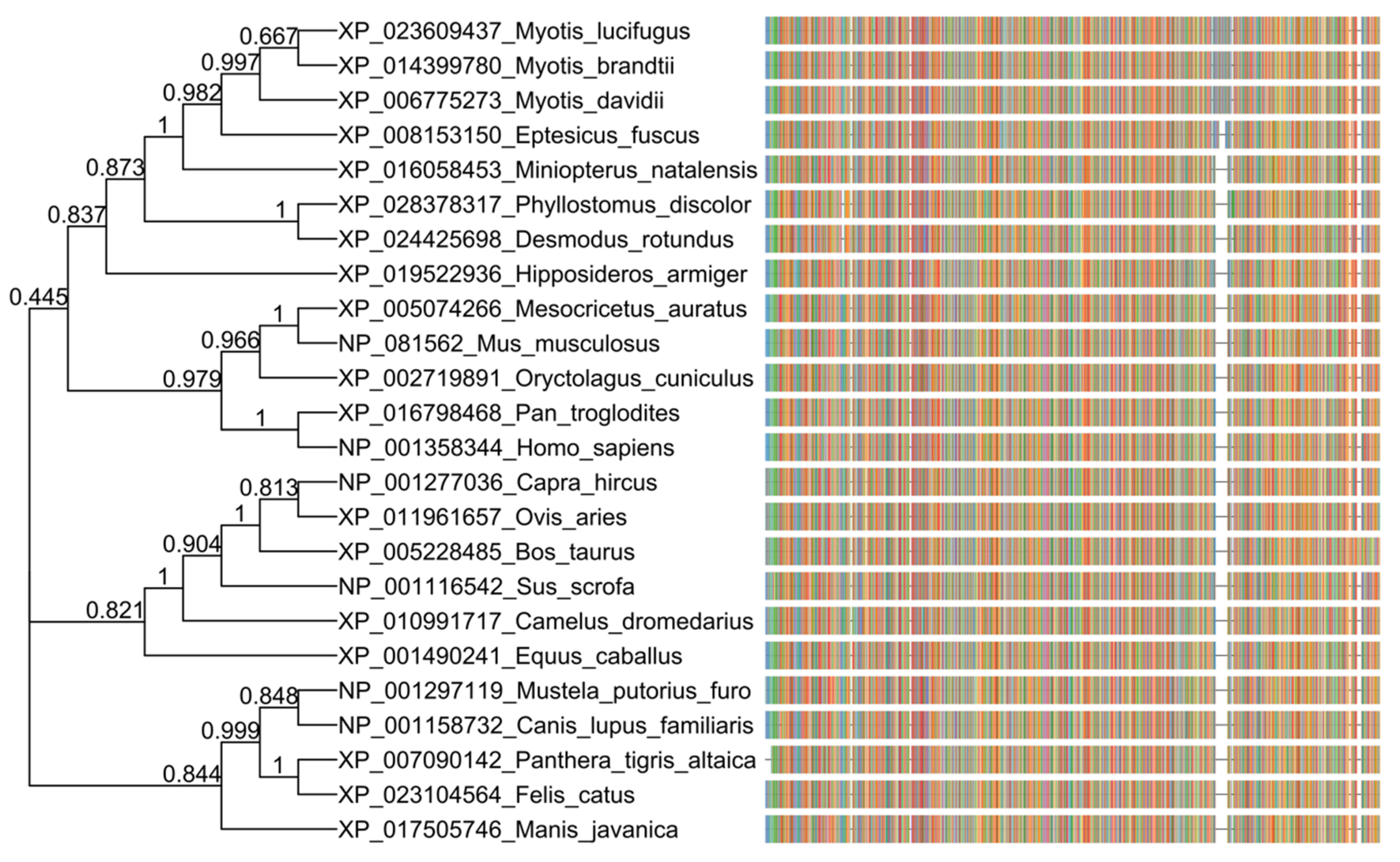 Pathogens 09 00480 g001