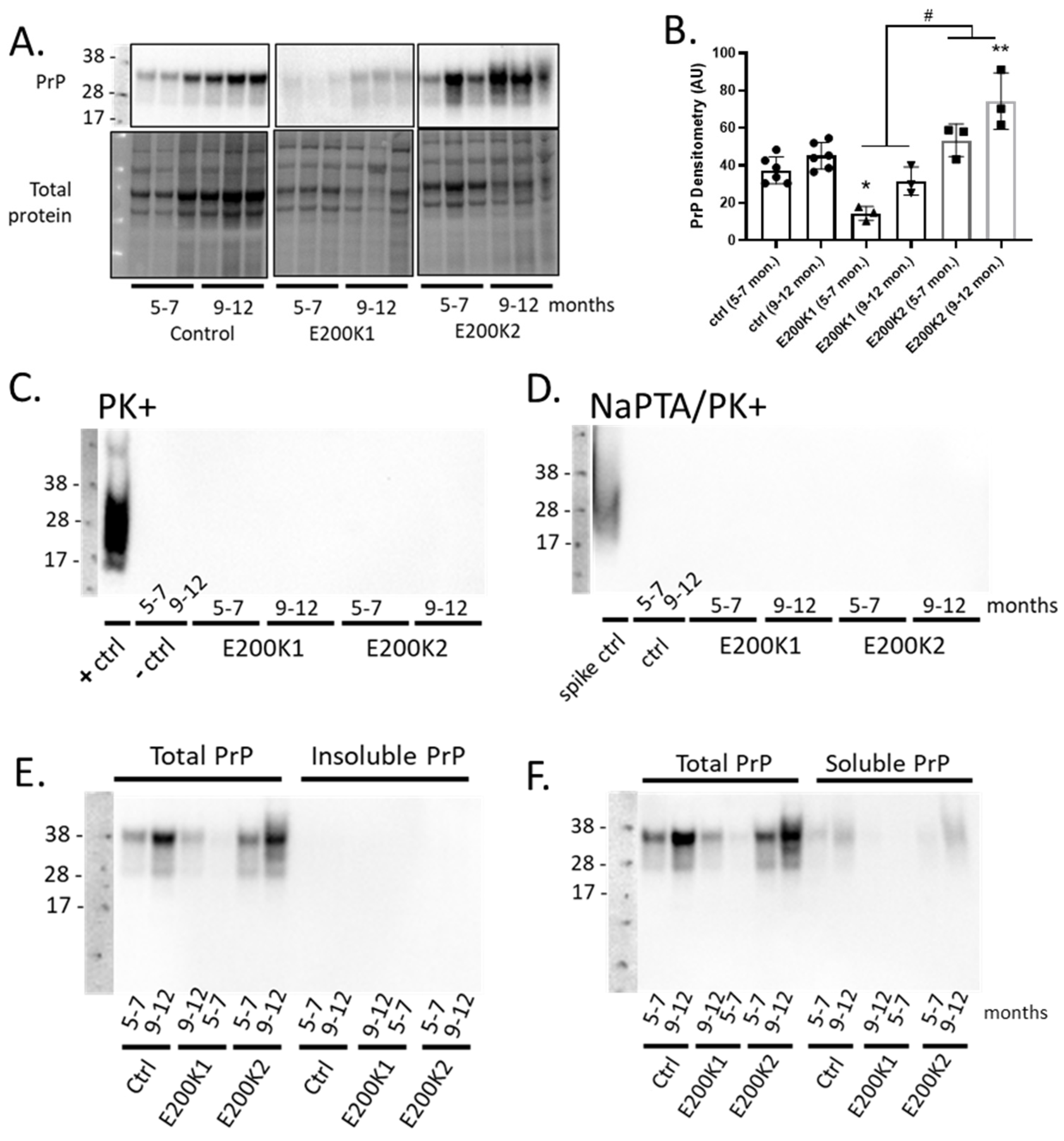 Pathogens 09 00482 g002 Pathogens 09 00482 g002